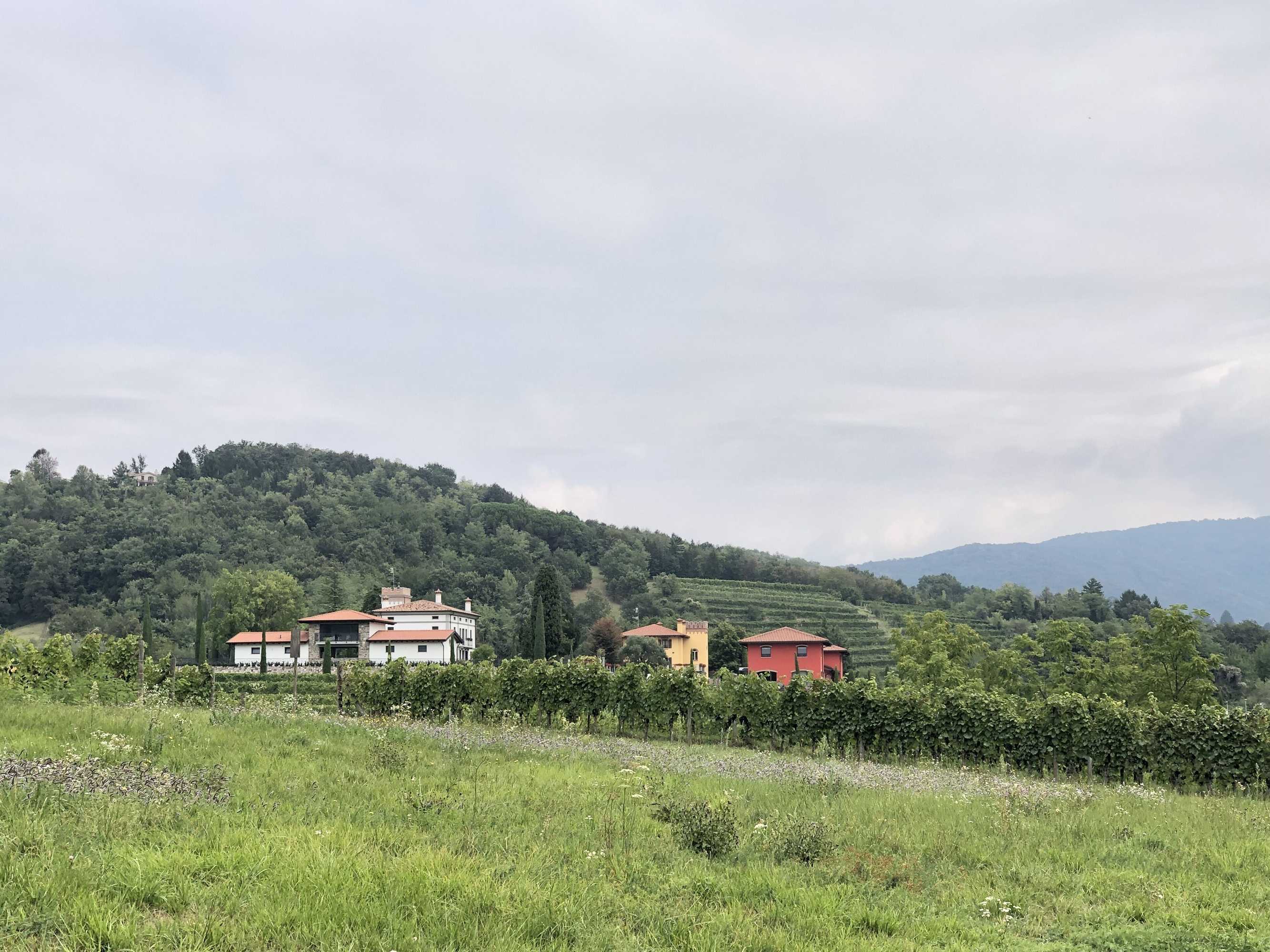 Gift card for Il Roncal Wine Resort - For Wine Lovers Gift card for Il Roncal Wine Resort - For Wine Lovers