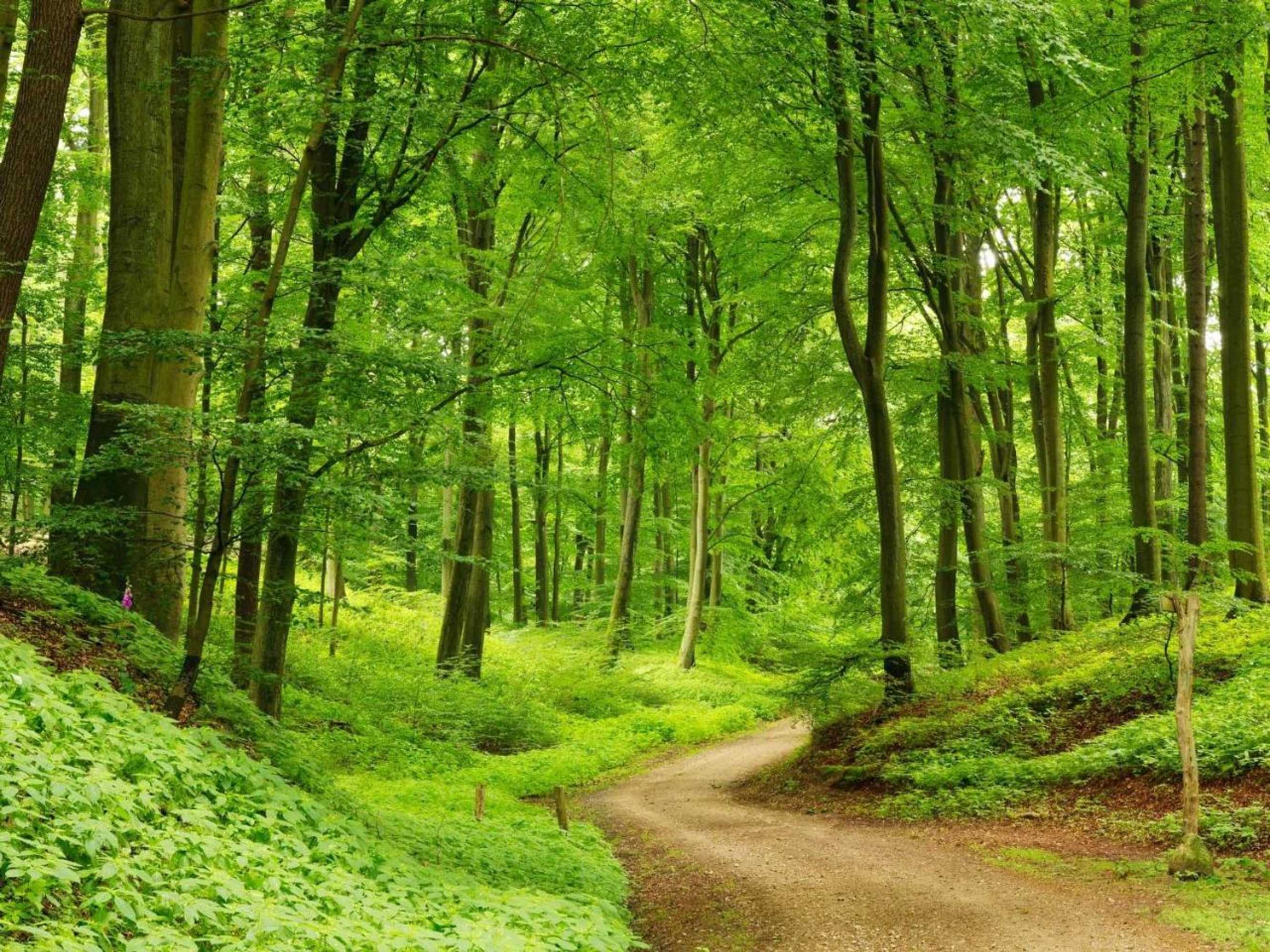 Gift card for Schurwald Hotel