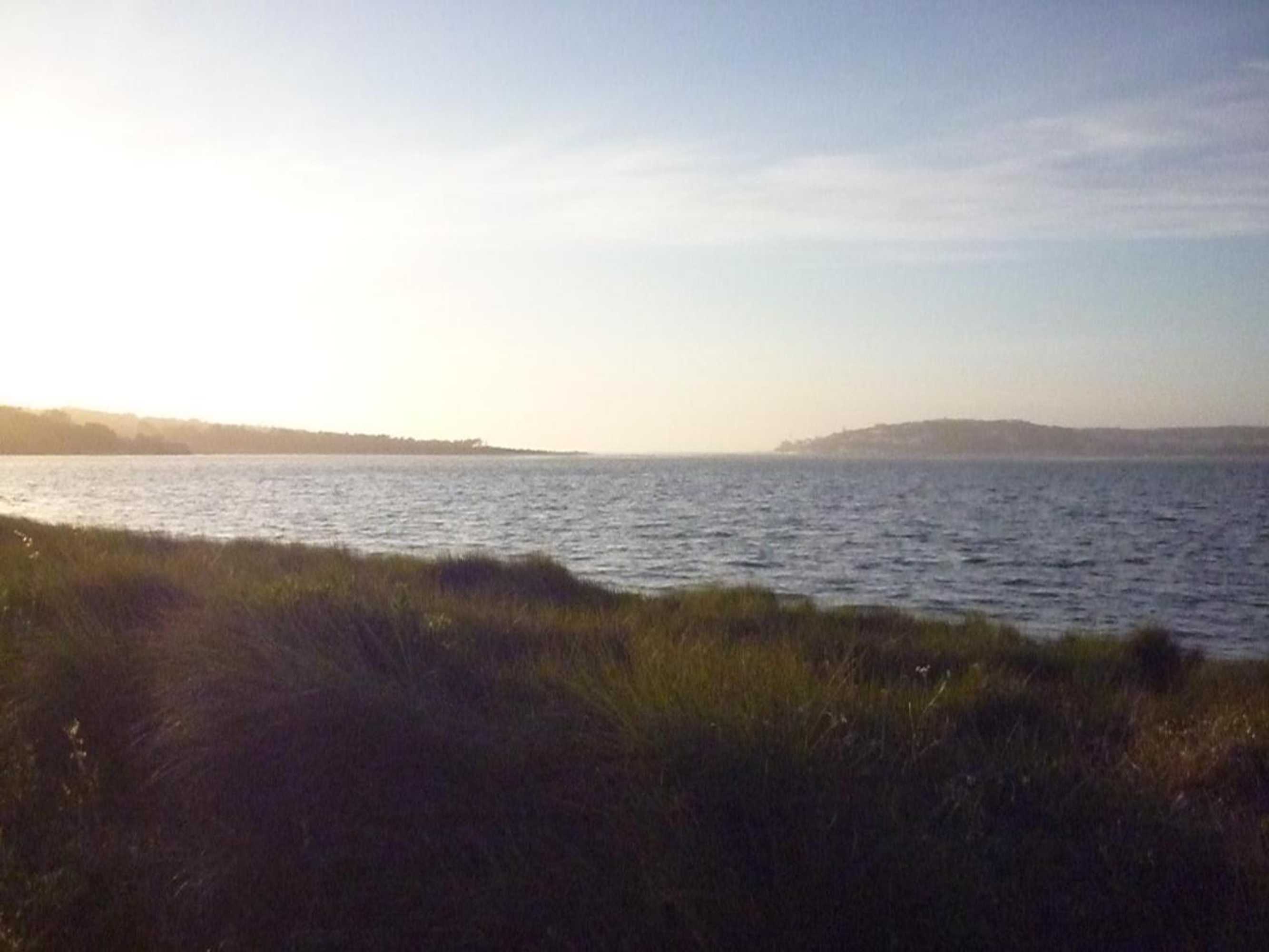 Gift card for Casa Picva