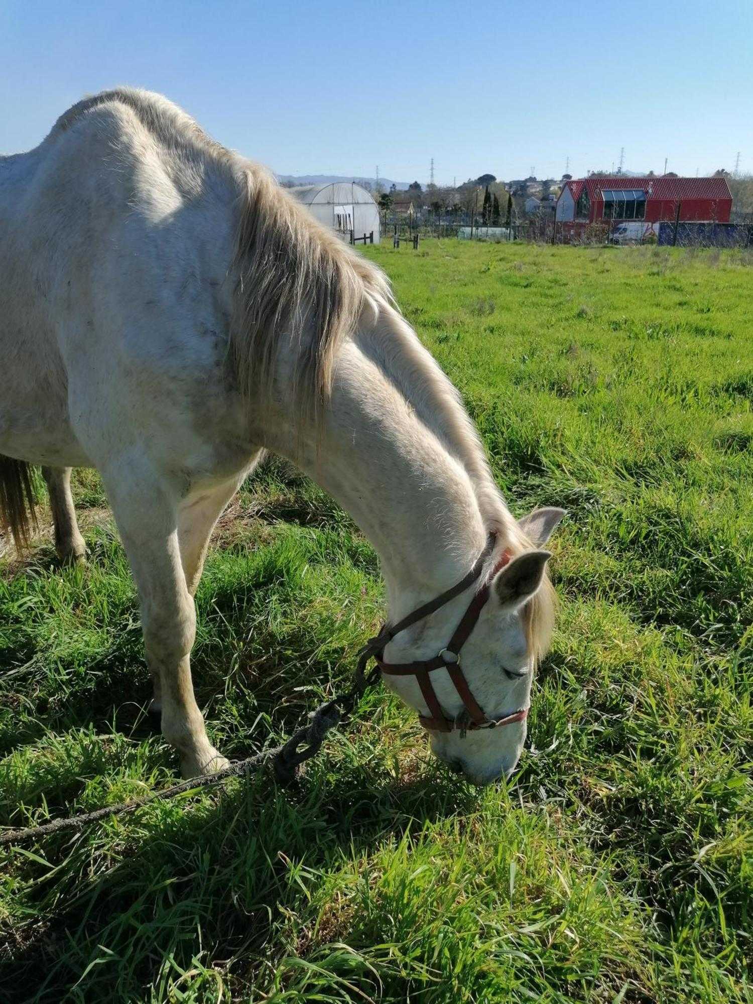 Gift card for Casa Fundevila