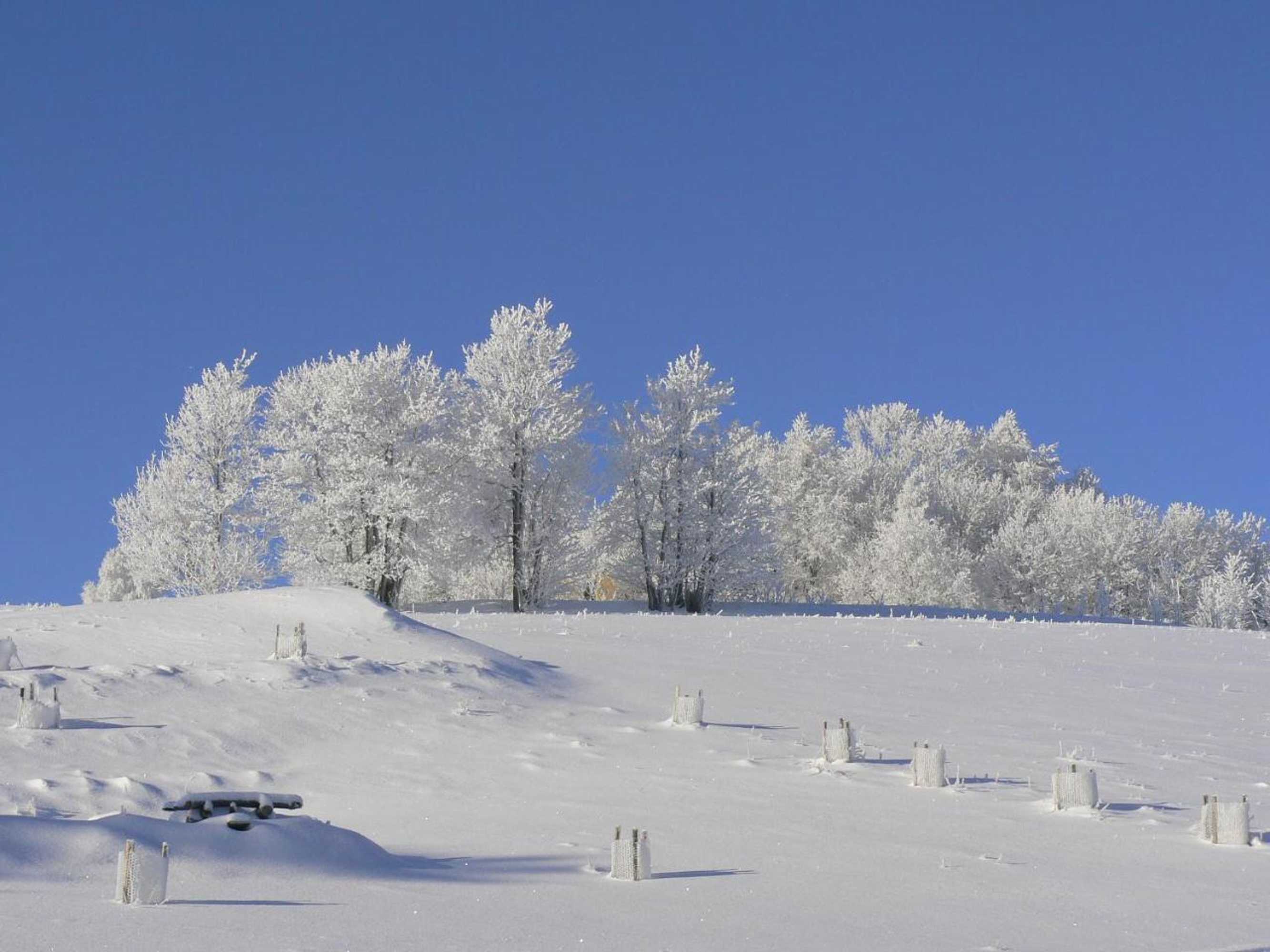 Gift card for Villa Sonnenseite Jonsdorf