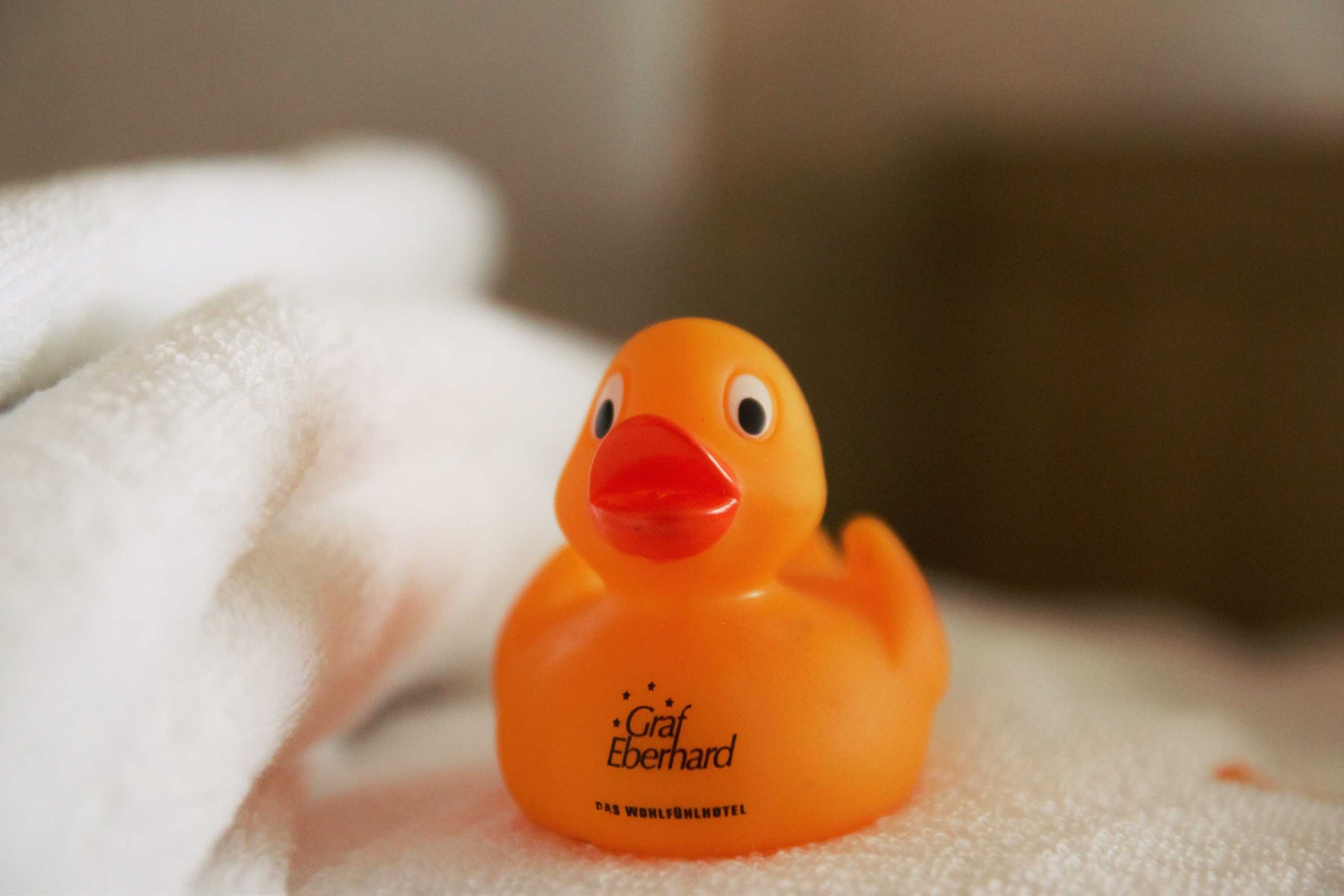 Gift card for Biosphärenhotel Graf Eberhard