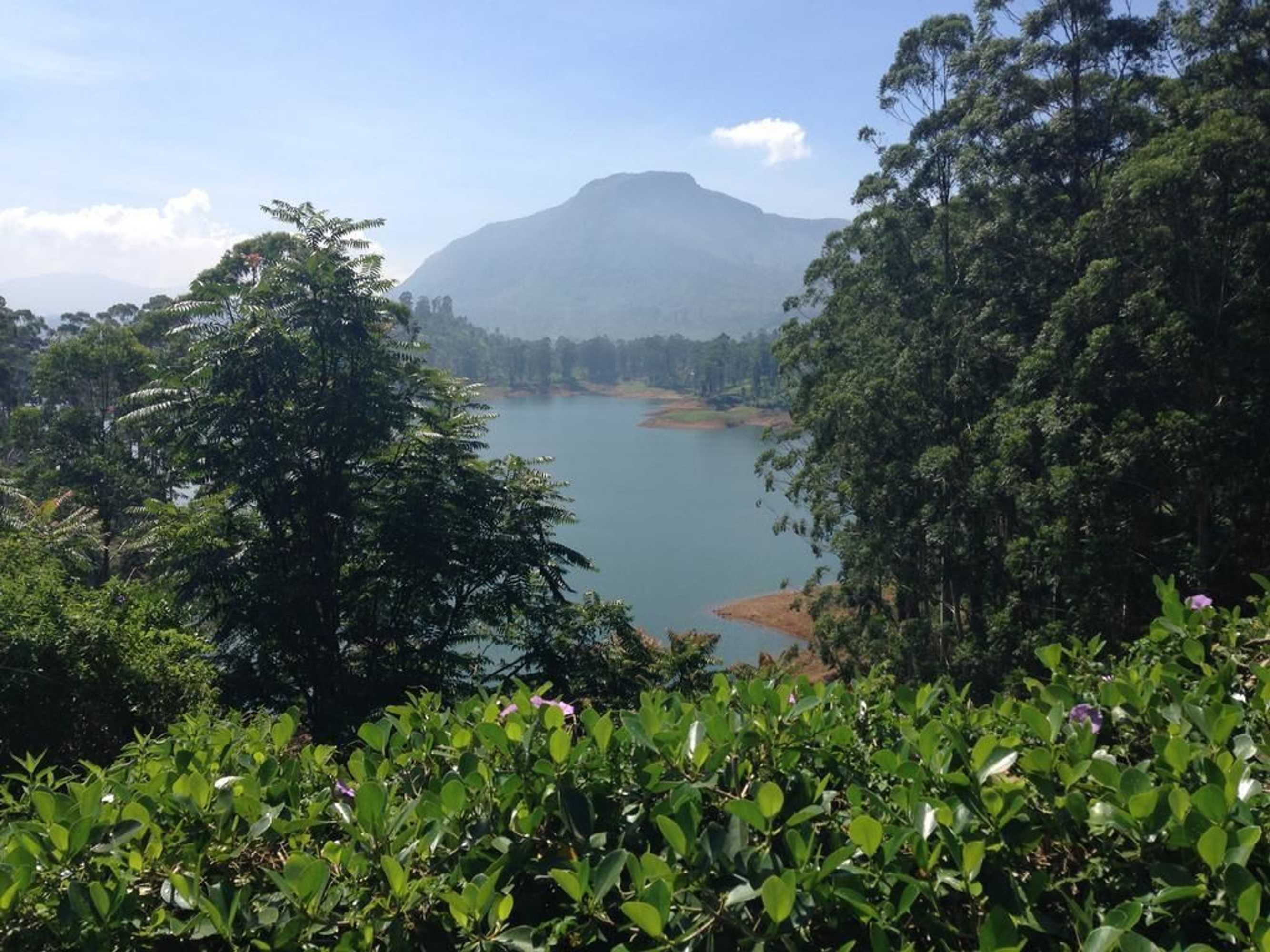 Gift card for Adams Peak Inn Gift card for Adams Peak Inn