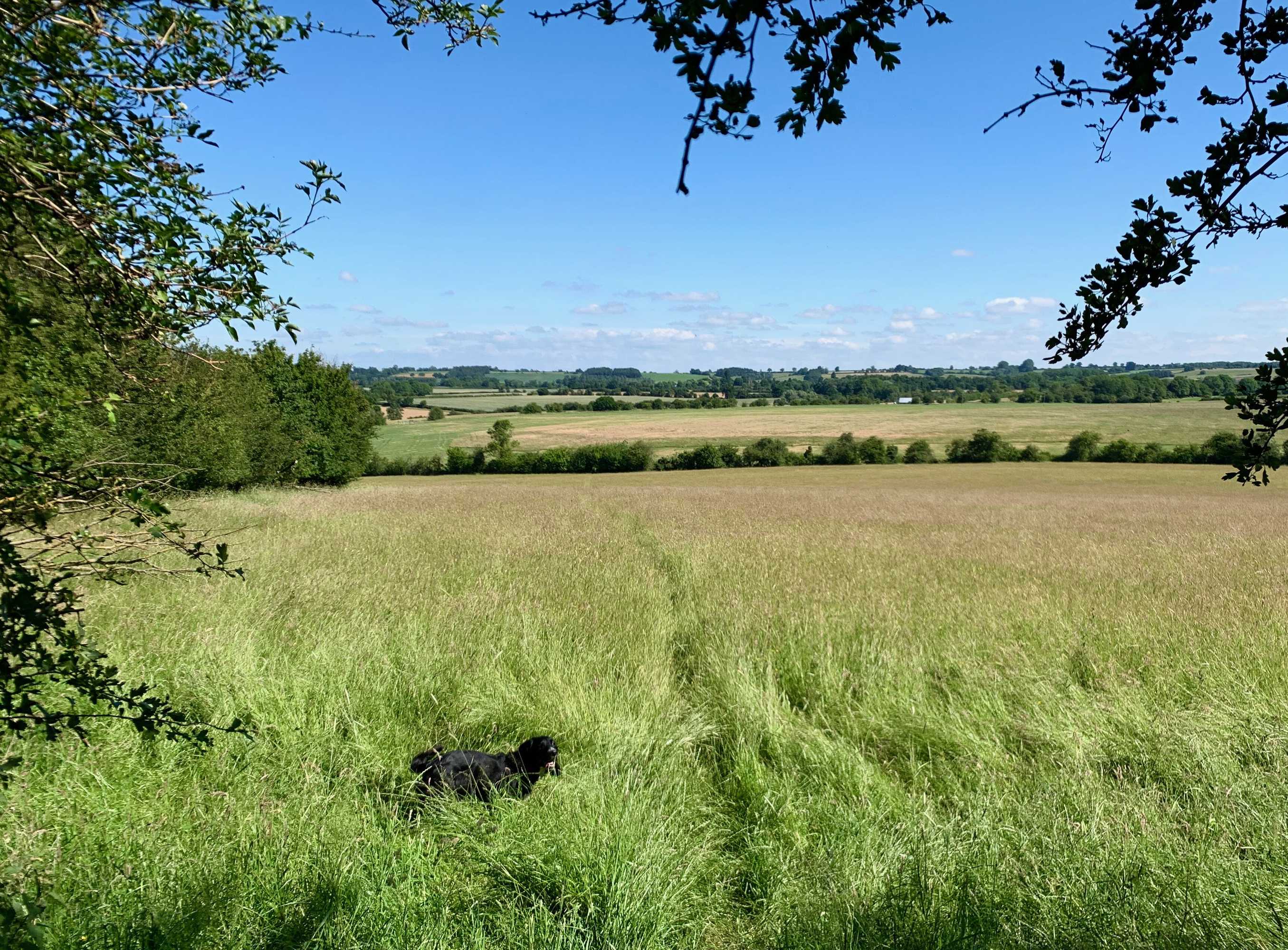 Gift card for Garden Barn