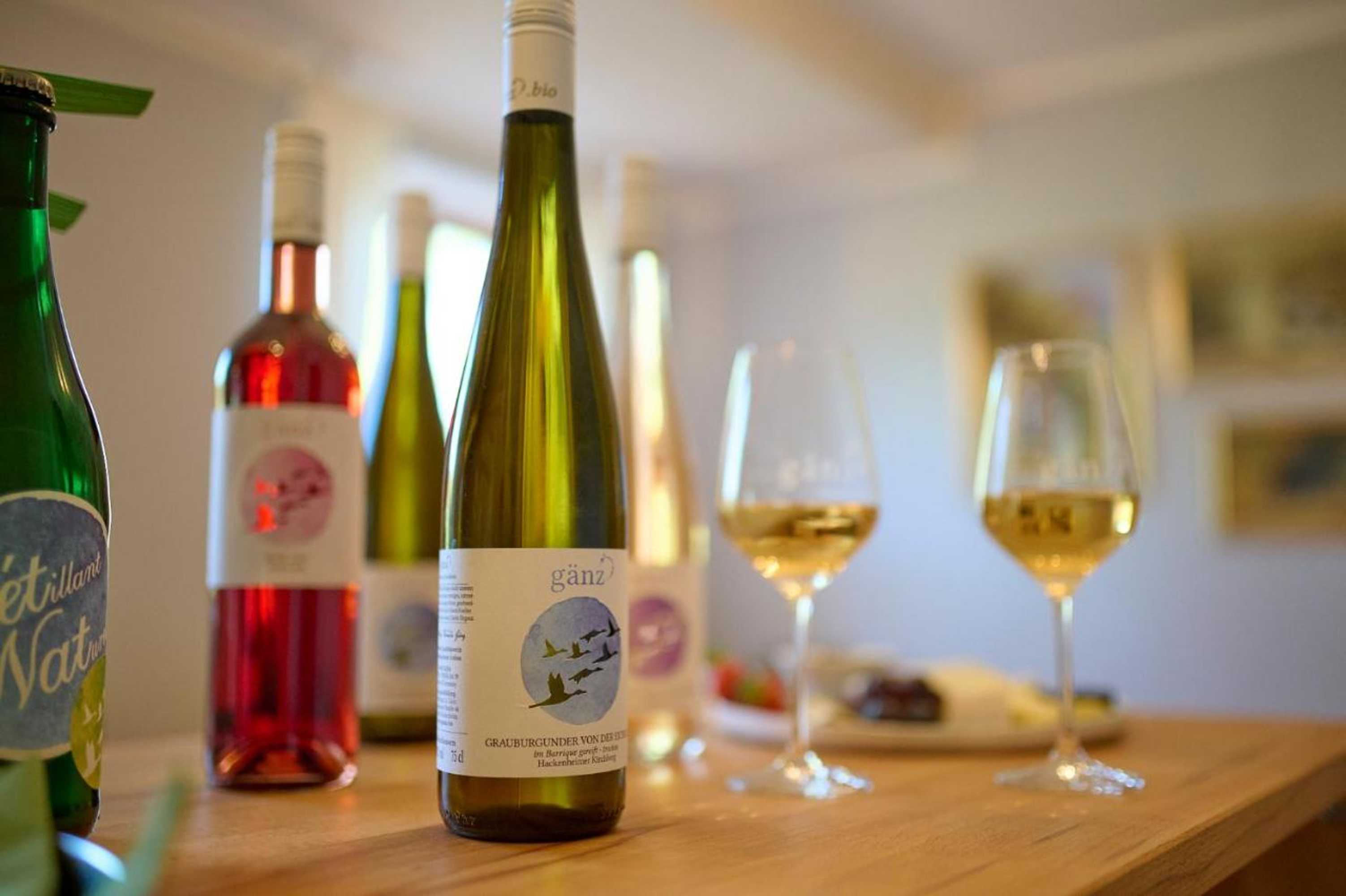 Gift card for Gänz Bioweingut & Biolandhotel