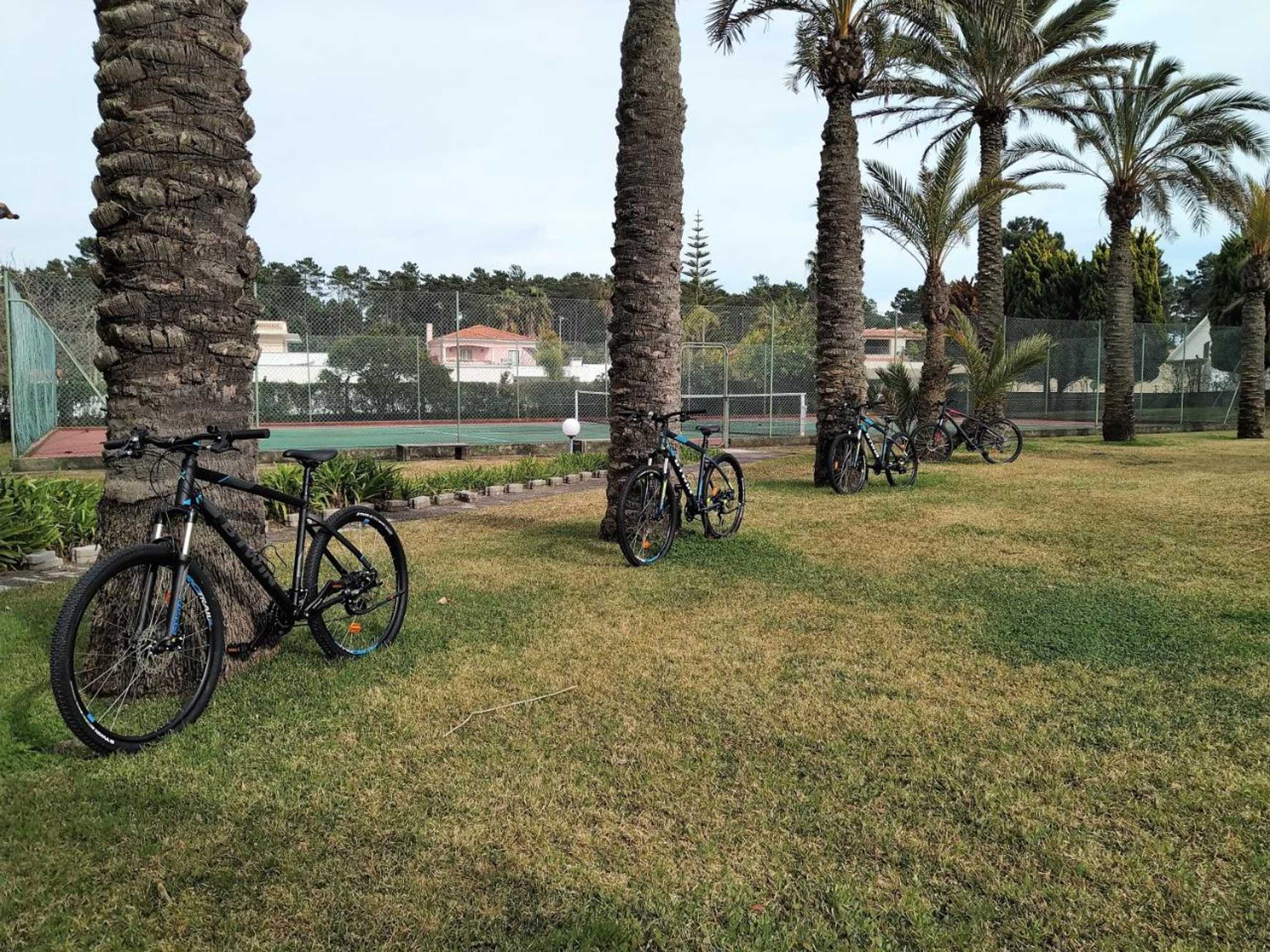 Gift card for Villa Das Palmeiras