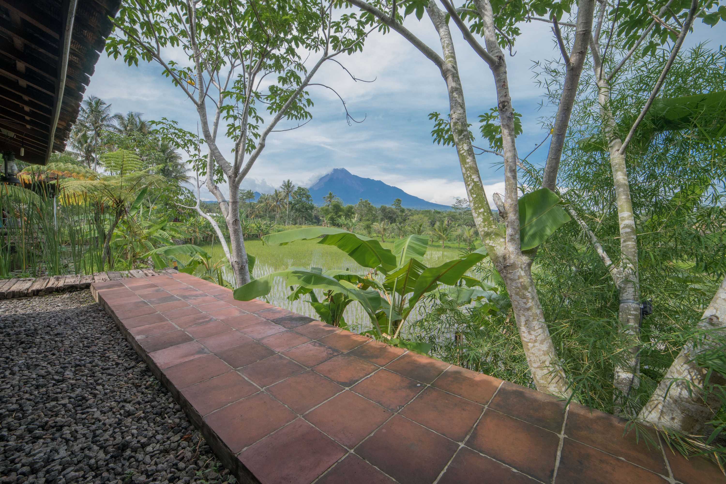 Gift card for Rumah Jembarati Gift card for Rumah Jembarati