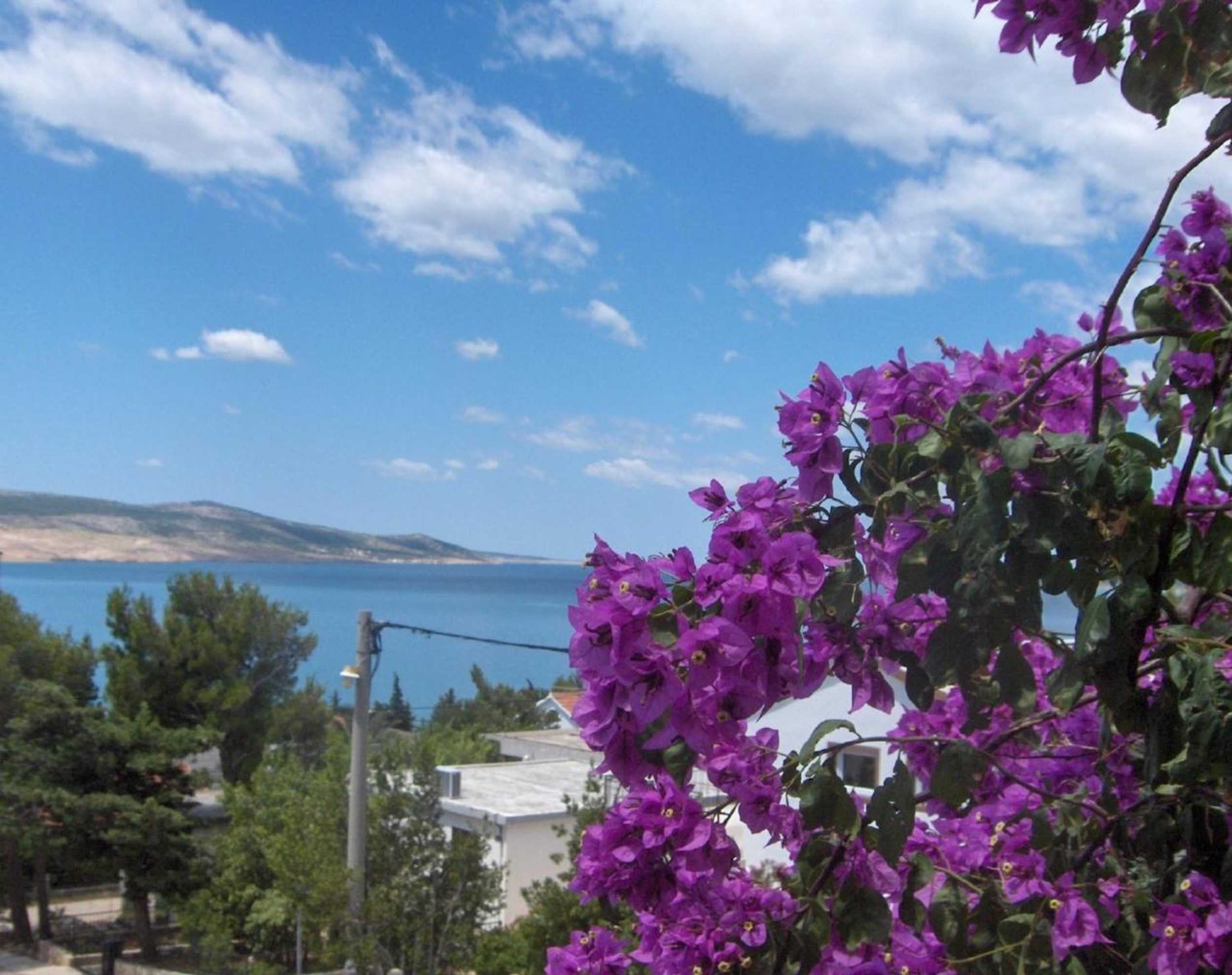 Gift card for Bed & Breakfast Dora