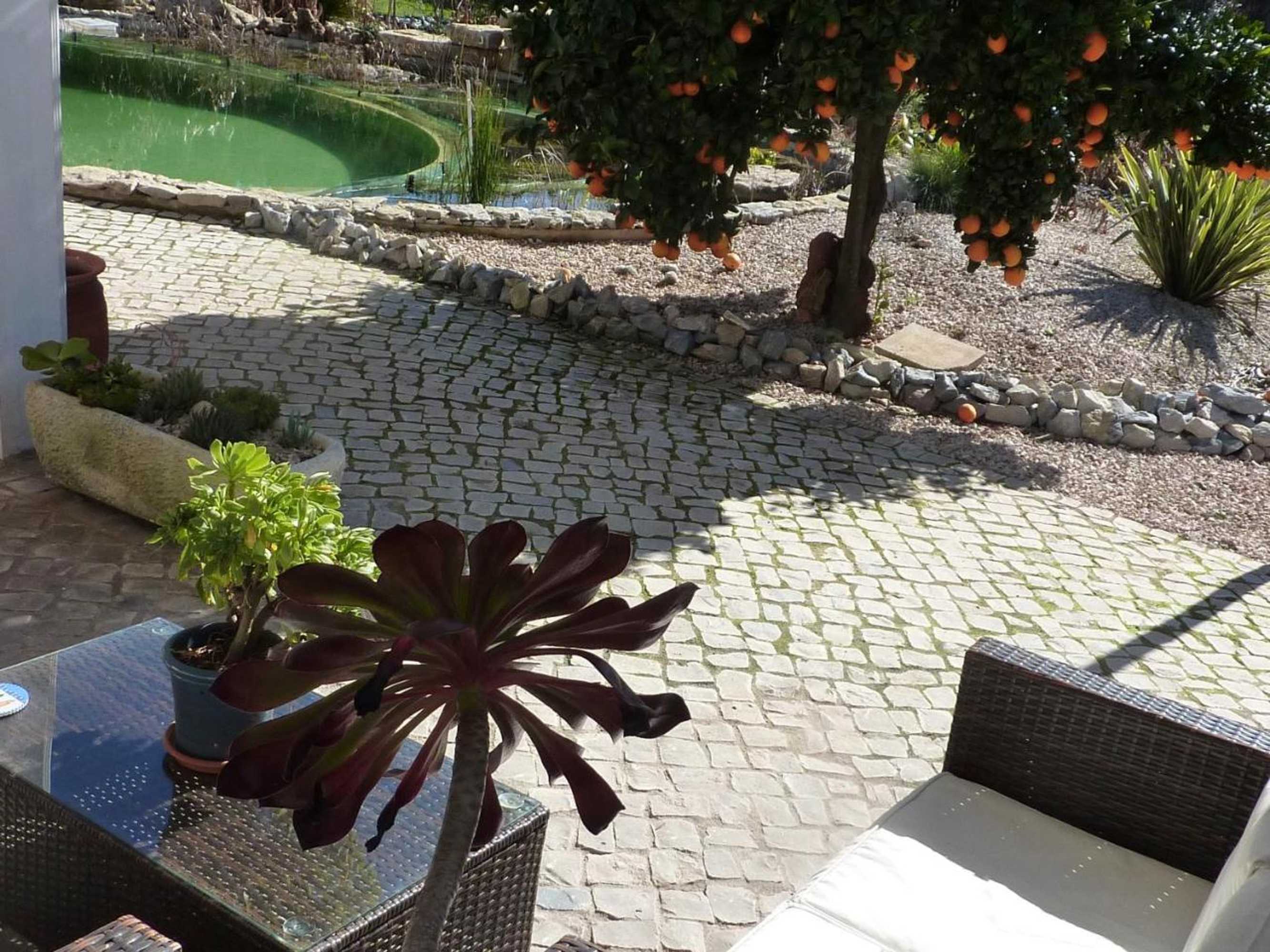 Gift card for Casa Azul