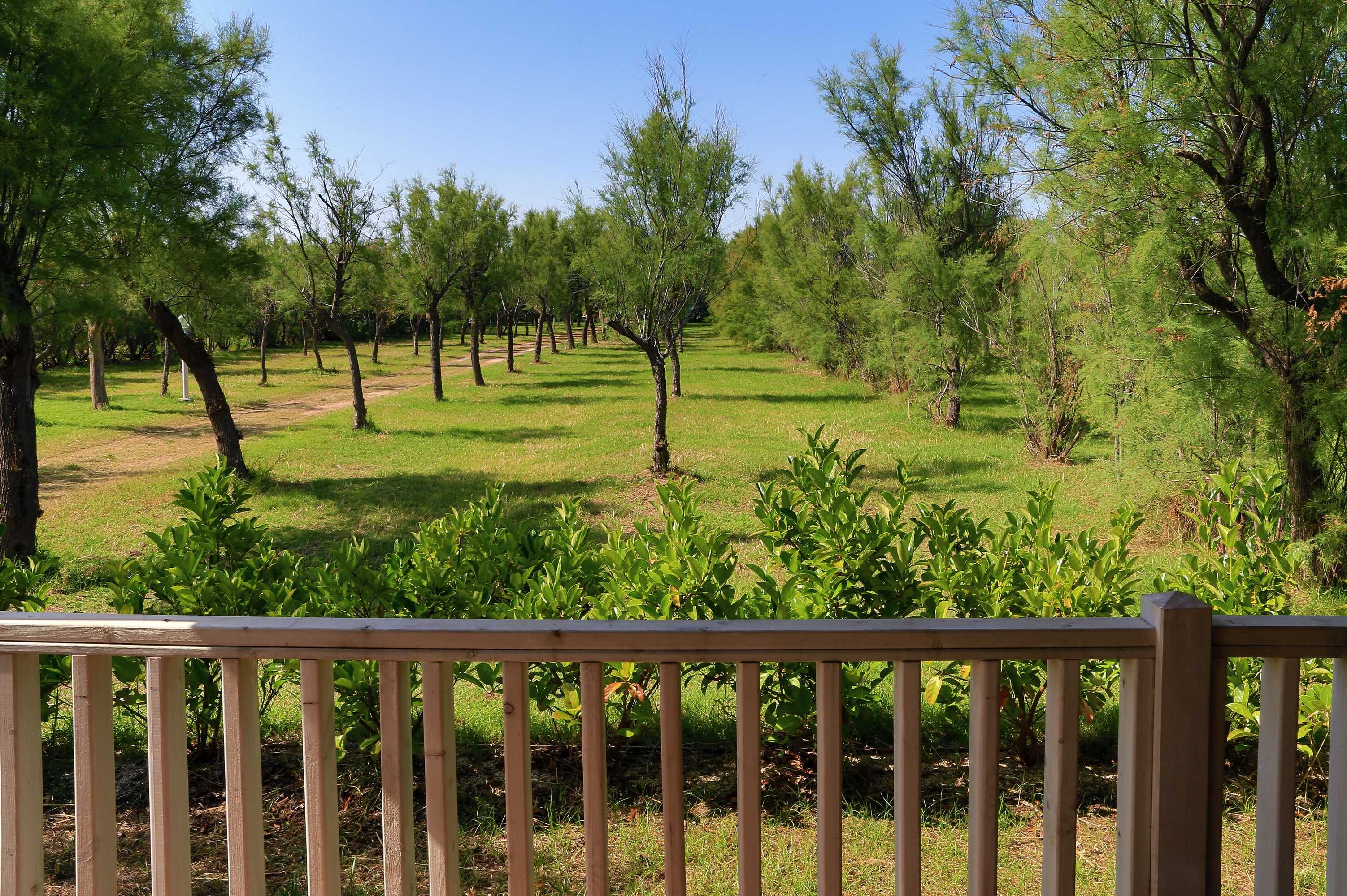 Gift card for Happy Camp Torre Rinalda Camping Village Gift card for Happy Camp Torre Rinalda Camping Village