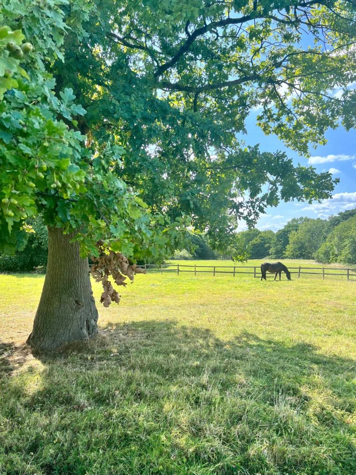 Gift card for The Saddlery Cheshire