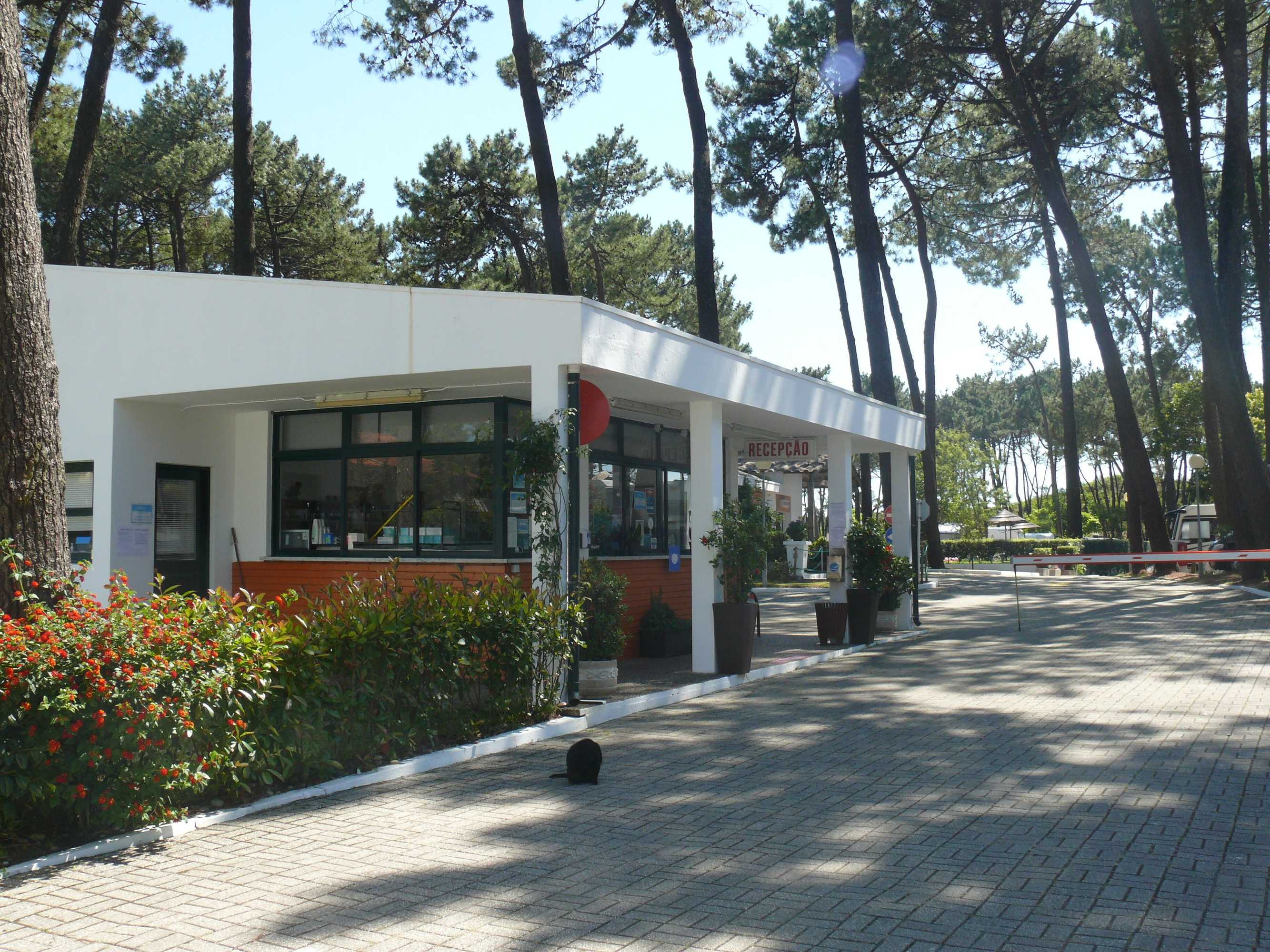 Gift card for Parque de Campismo Orbitur Viana do Castelo Gift card for Parque de Campismo Orbitur Viana do Castelo