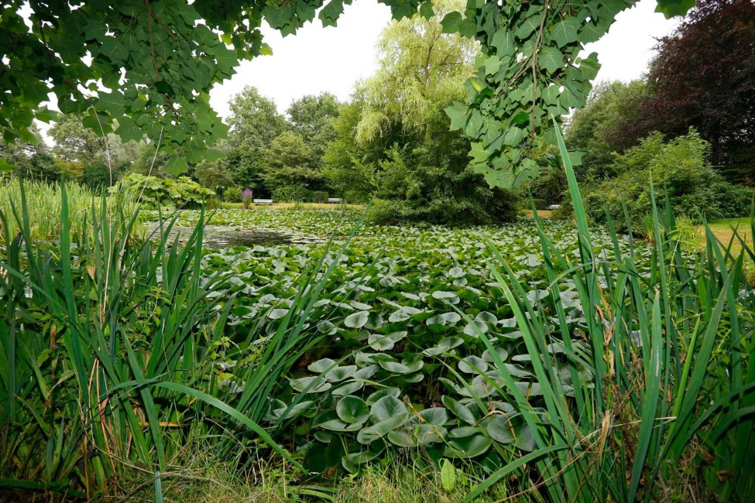 Gift card for Het Ros Van Twente