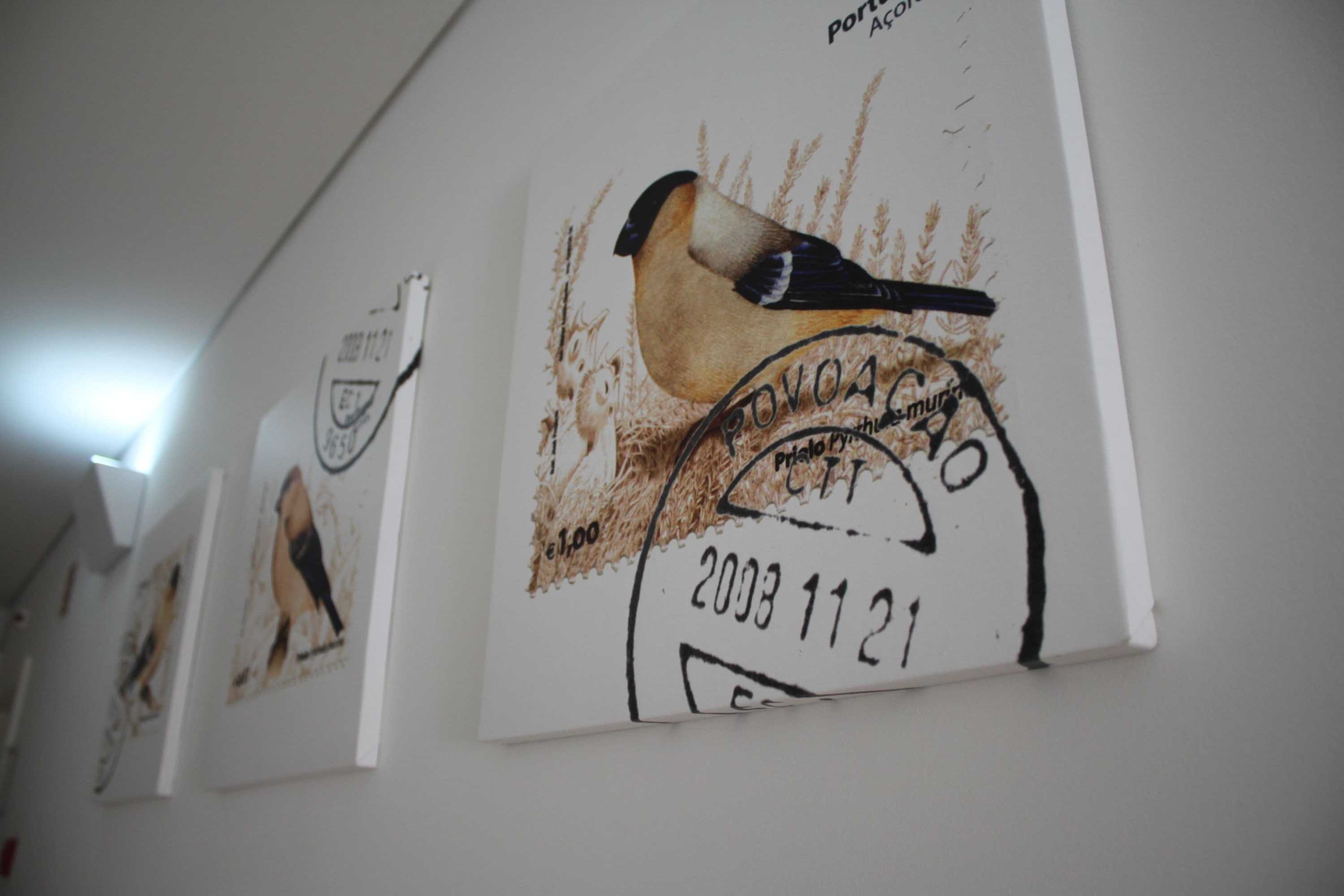 Gift card for Casa da Cisaltina