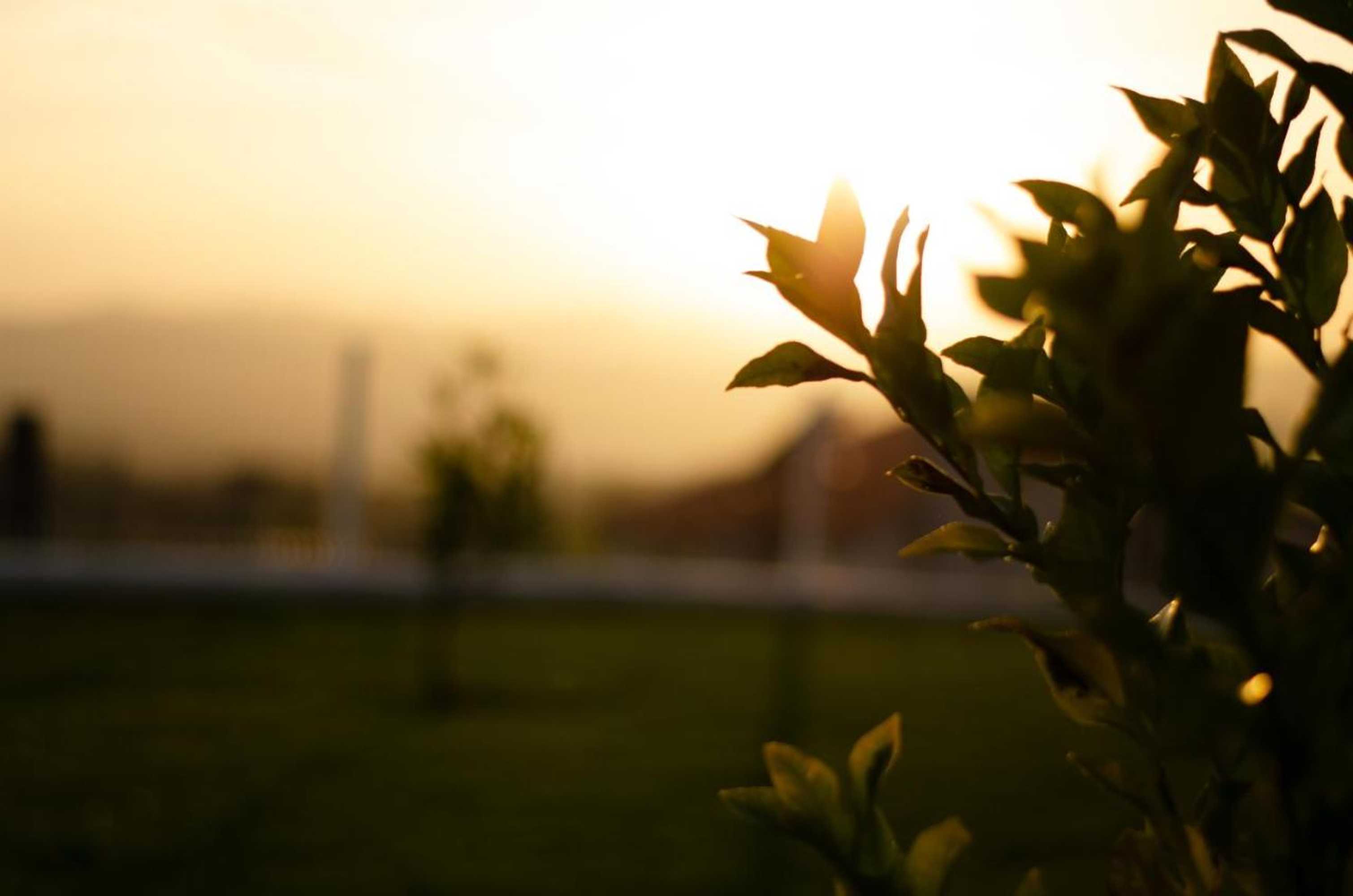 Gift card for Casa Leite