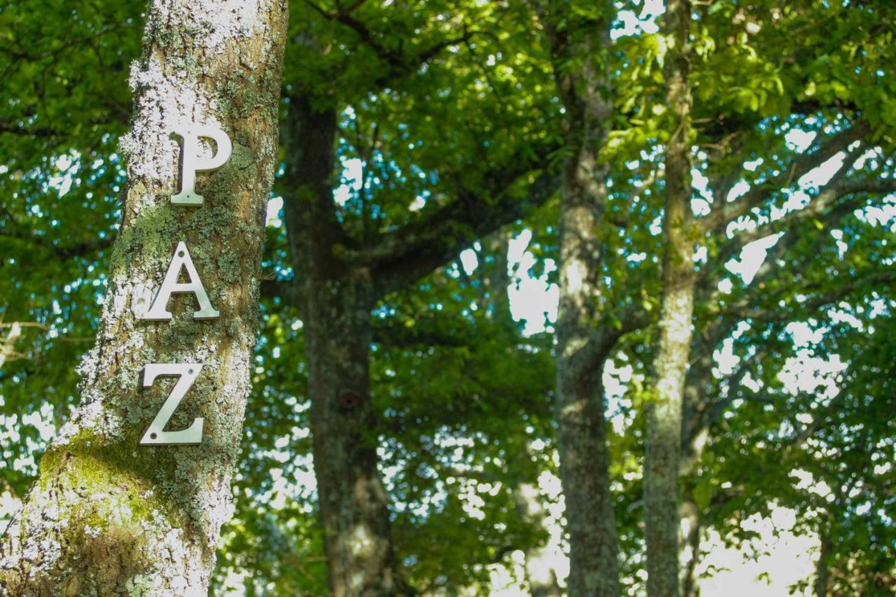 Gift card for Casa Das Palmeiras - Pedagogic Farm Gift card for Casa Das Palmeiras - Pedagogic Farm