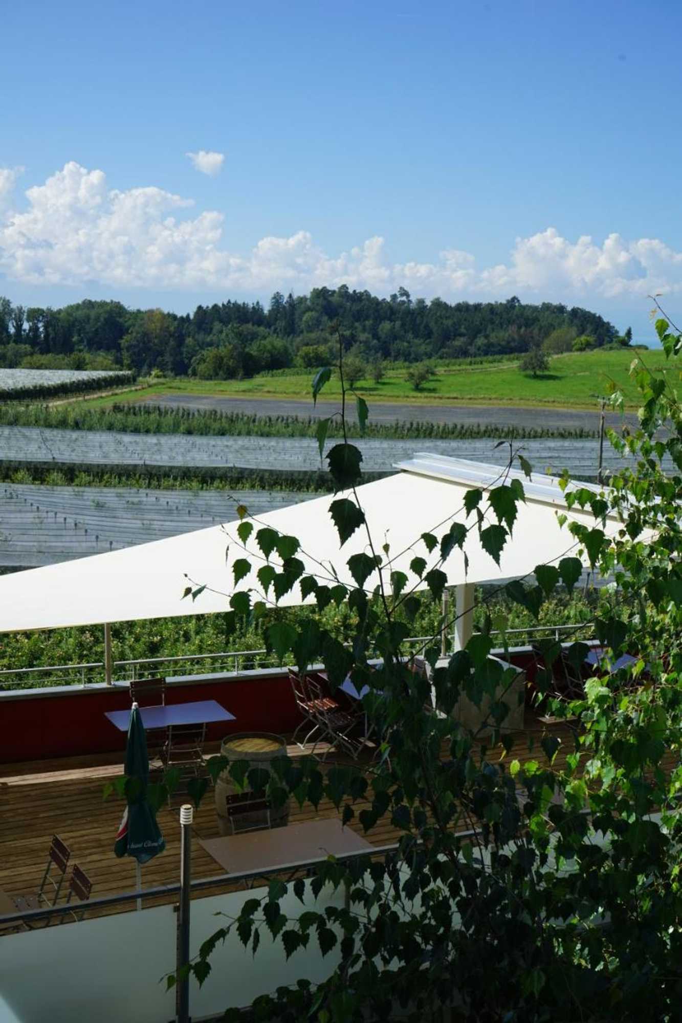 Gift card for Gasthof Zum Forst