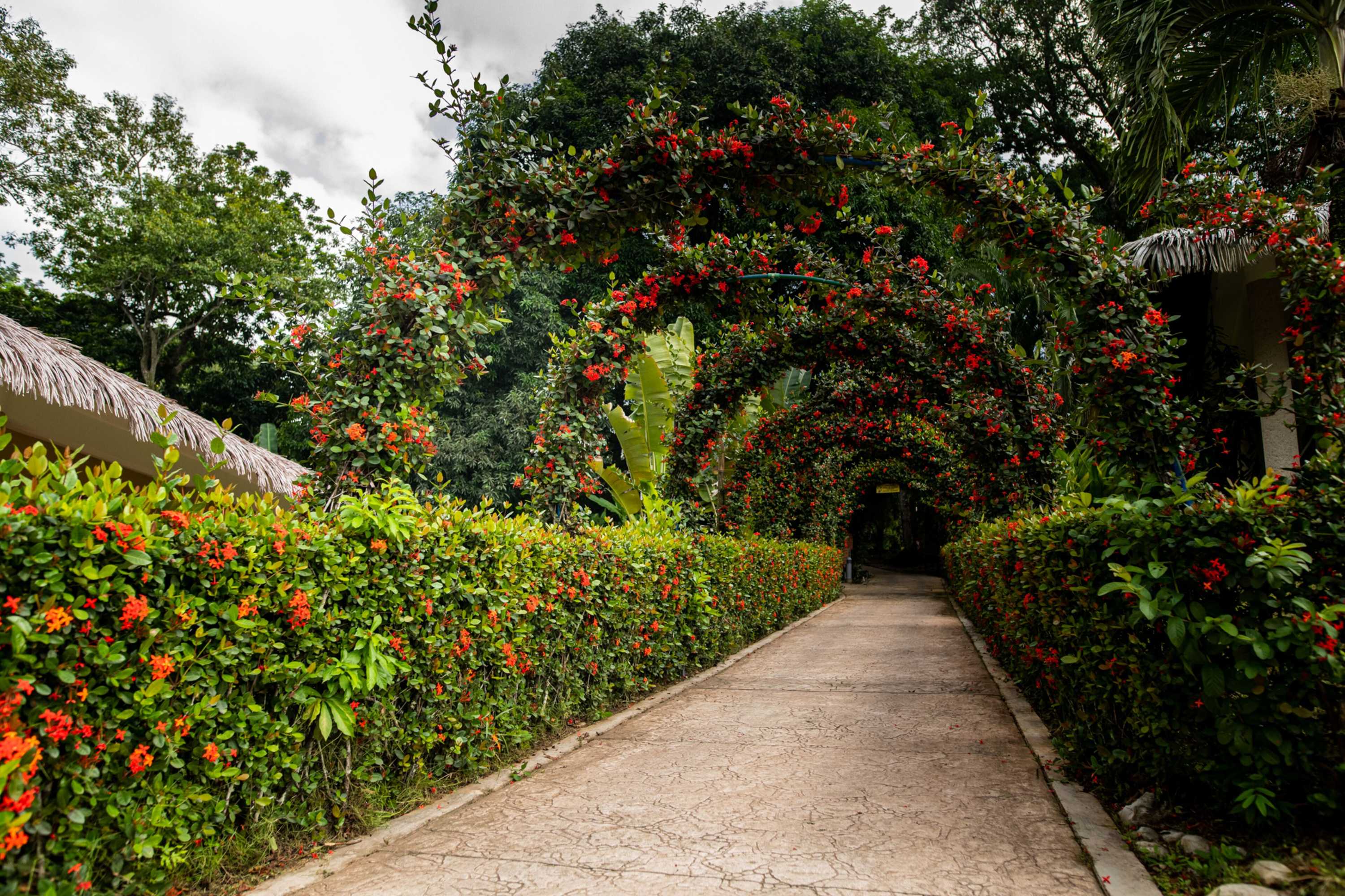 Gift card for Hotel Villa Mercedes Palenque Gift card for Hotel Villa Mercedes Palenque