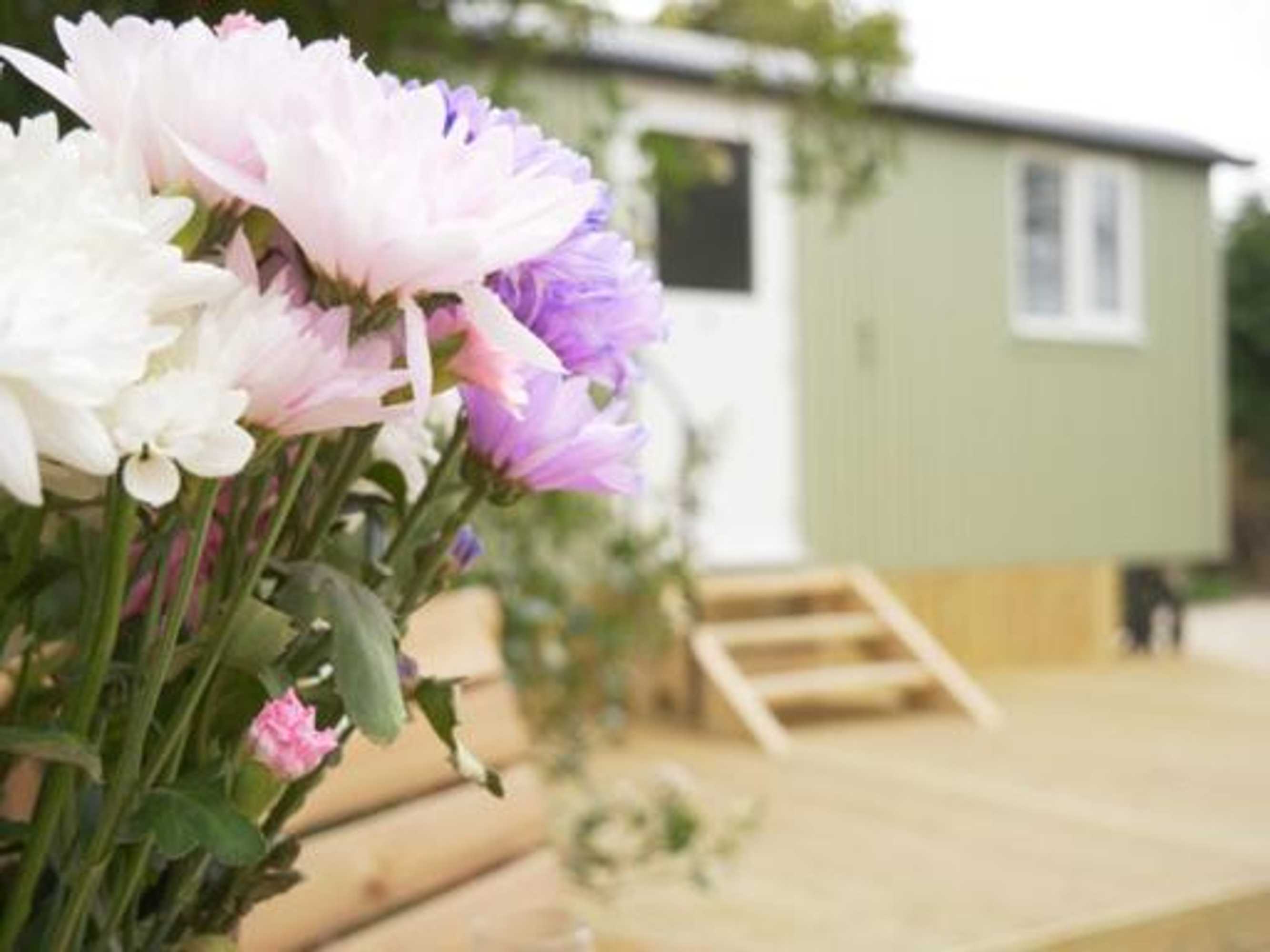 Gift card for Wolstonbury Getaway