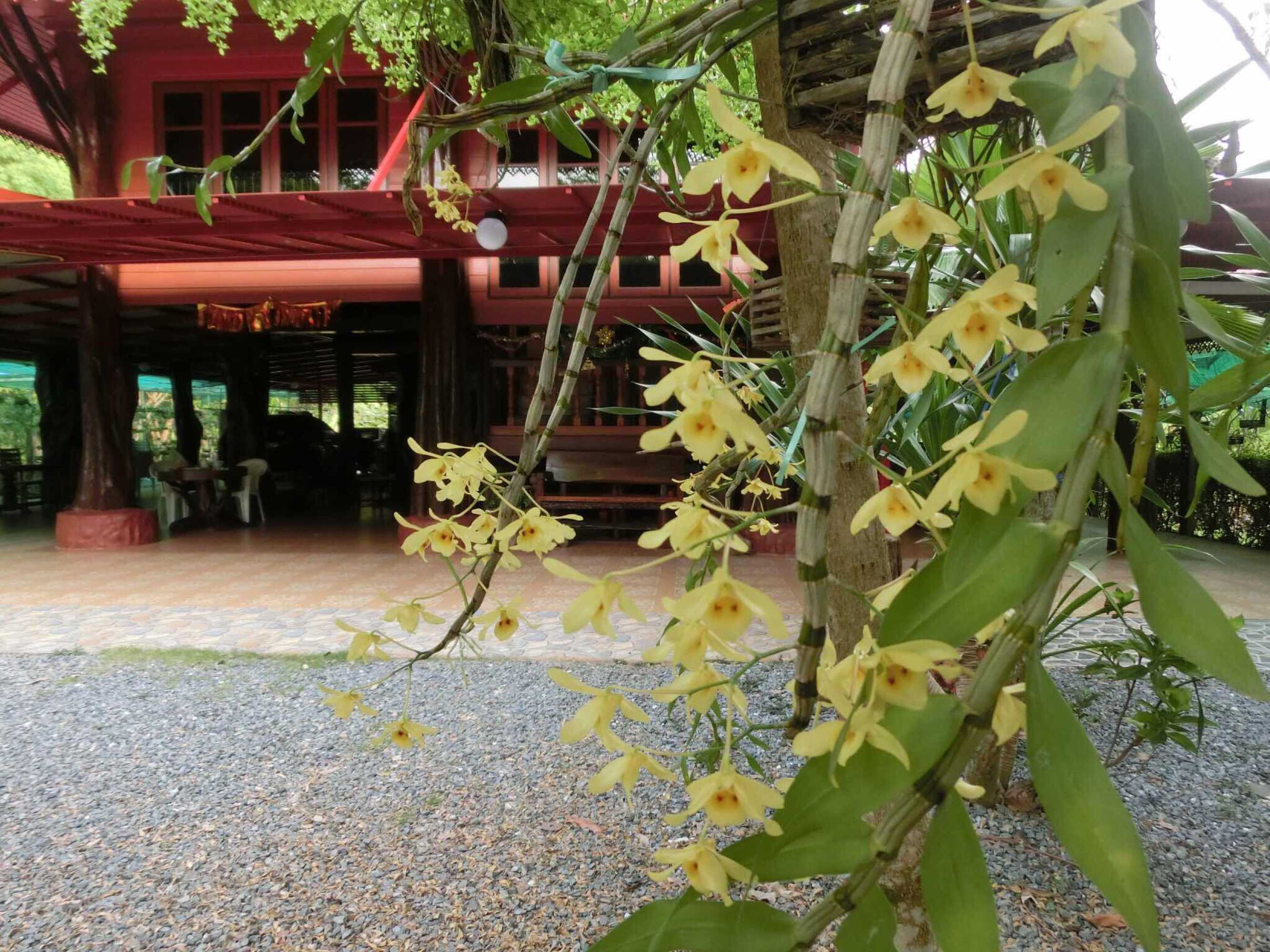 Gift card for Big House Resort