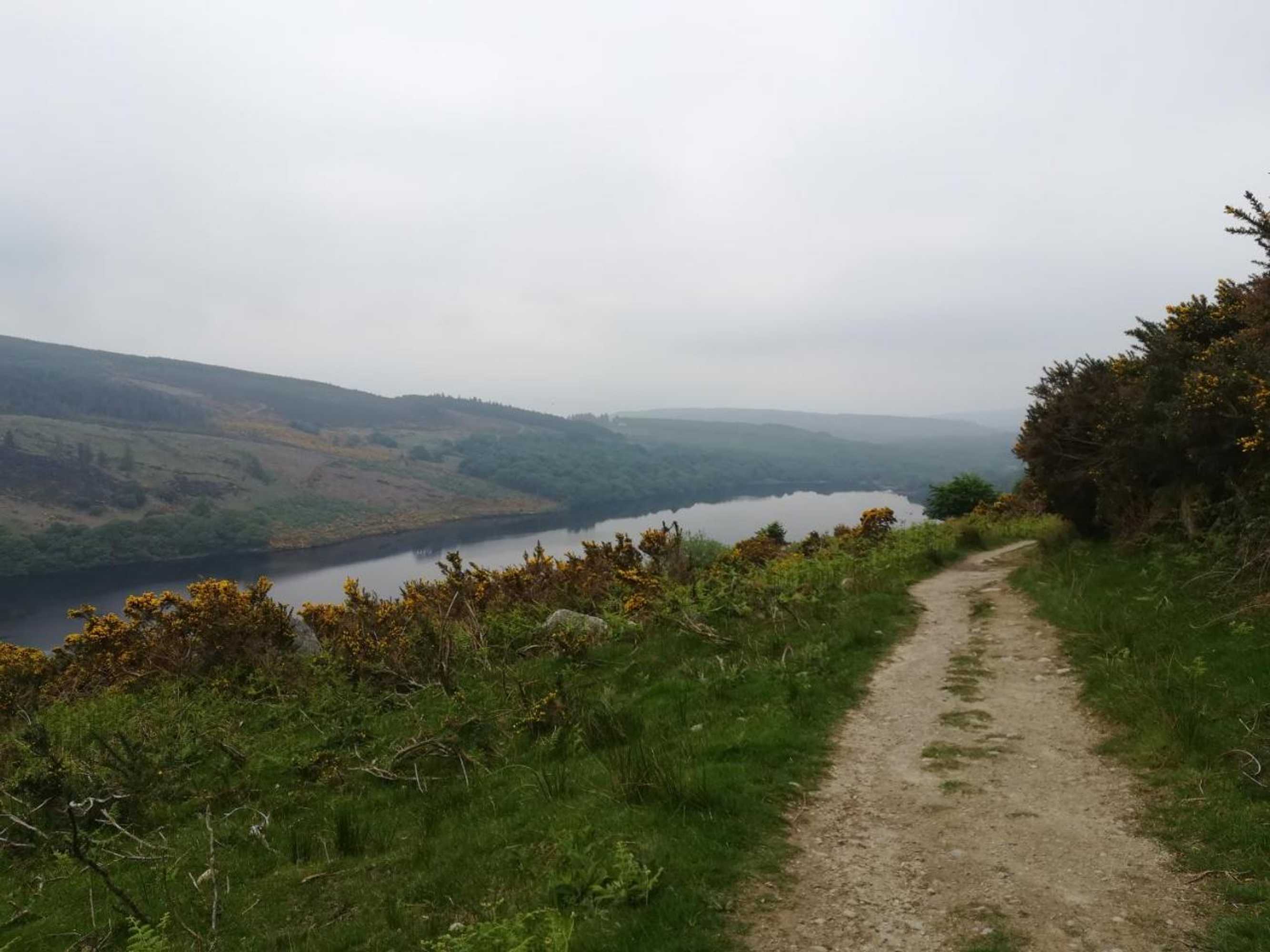 Gift card for Relaxing Space.