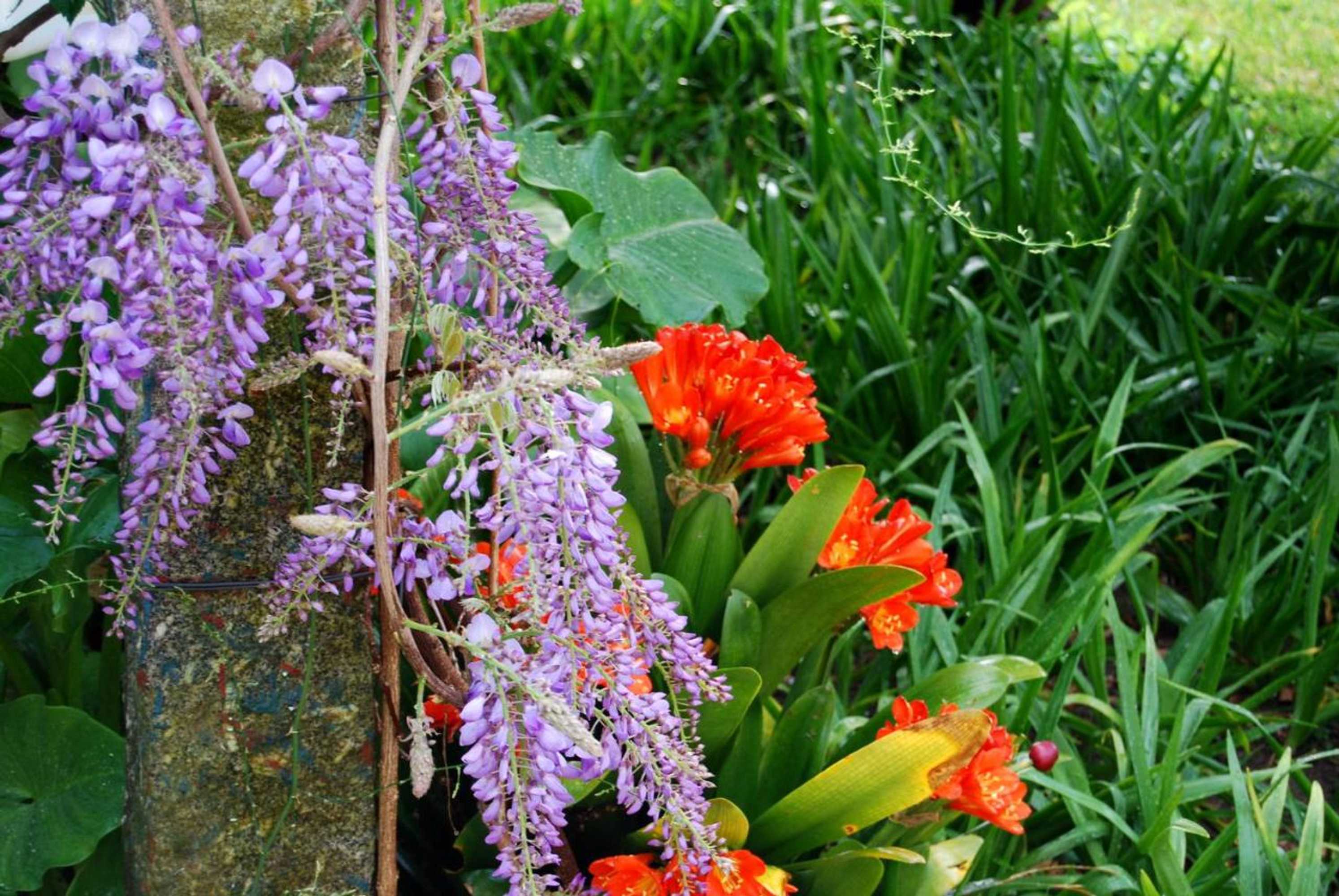 Gift card for Quinta de Valverde