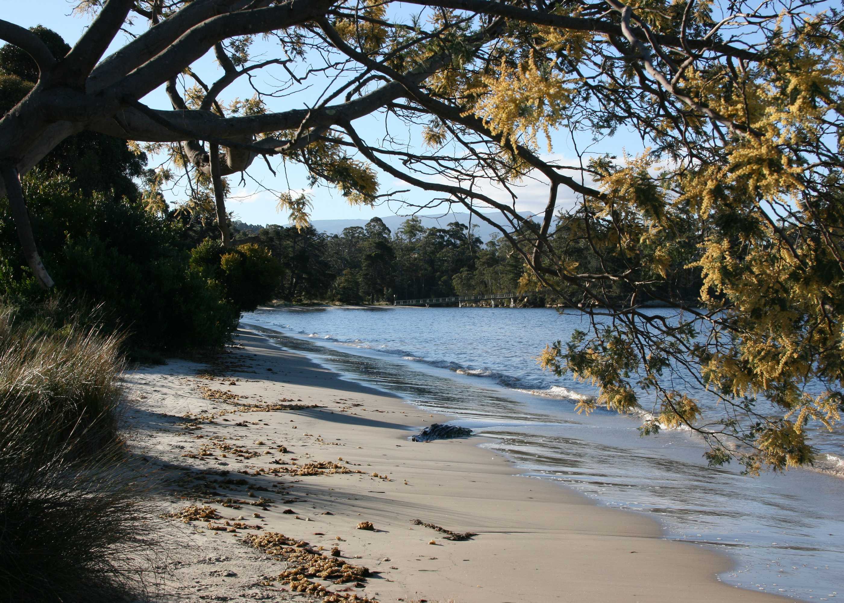 Gift card for Snug Beach Cabin And Caravan Park