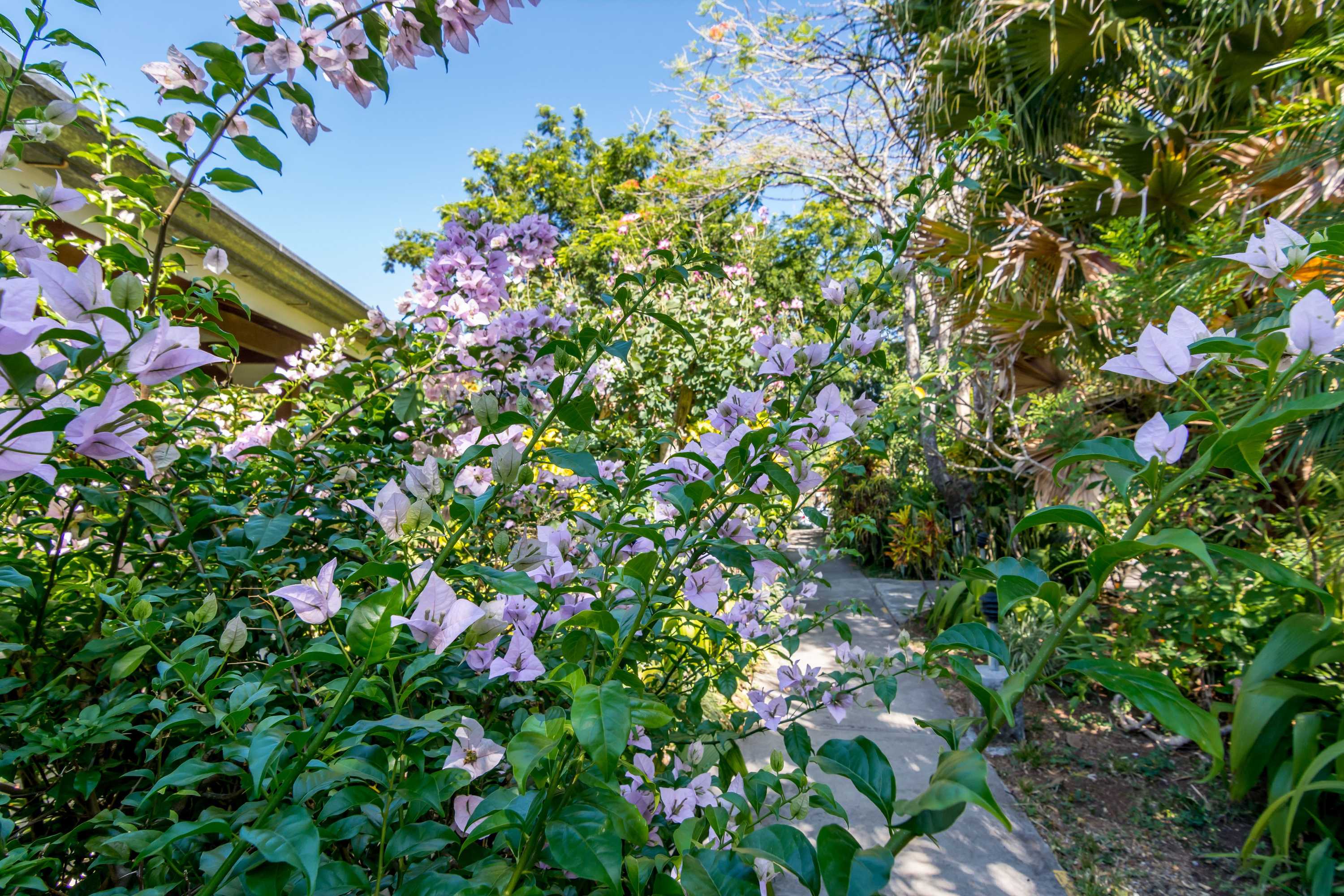 Gift card for Hotel Colinas Del Sol