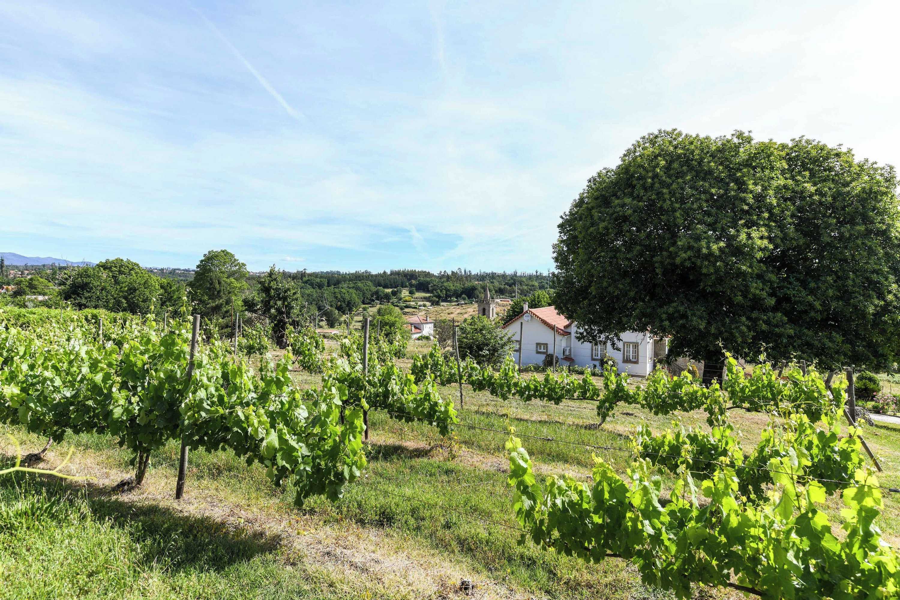 Gift card for Quinta Lusitânia