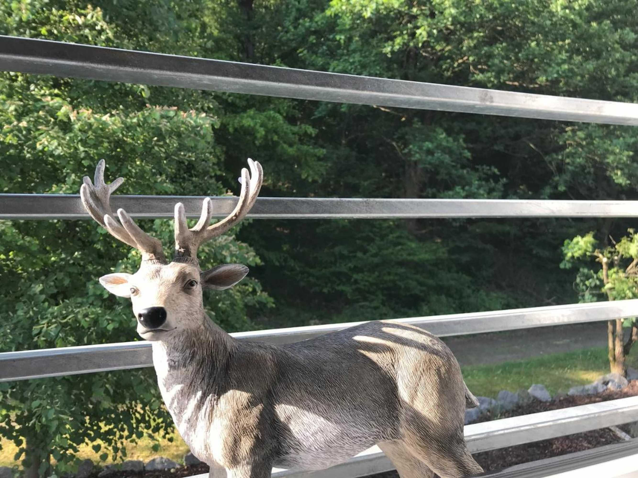 Gift card for Appartementhaus Angelika