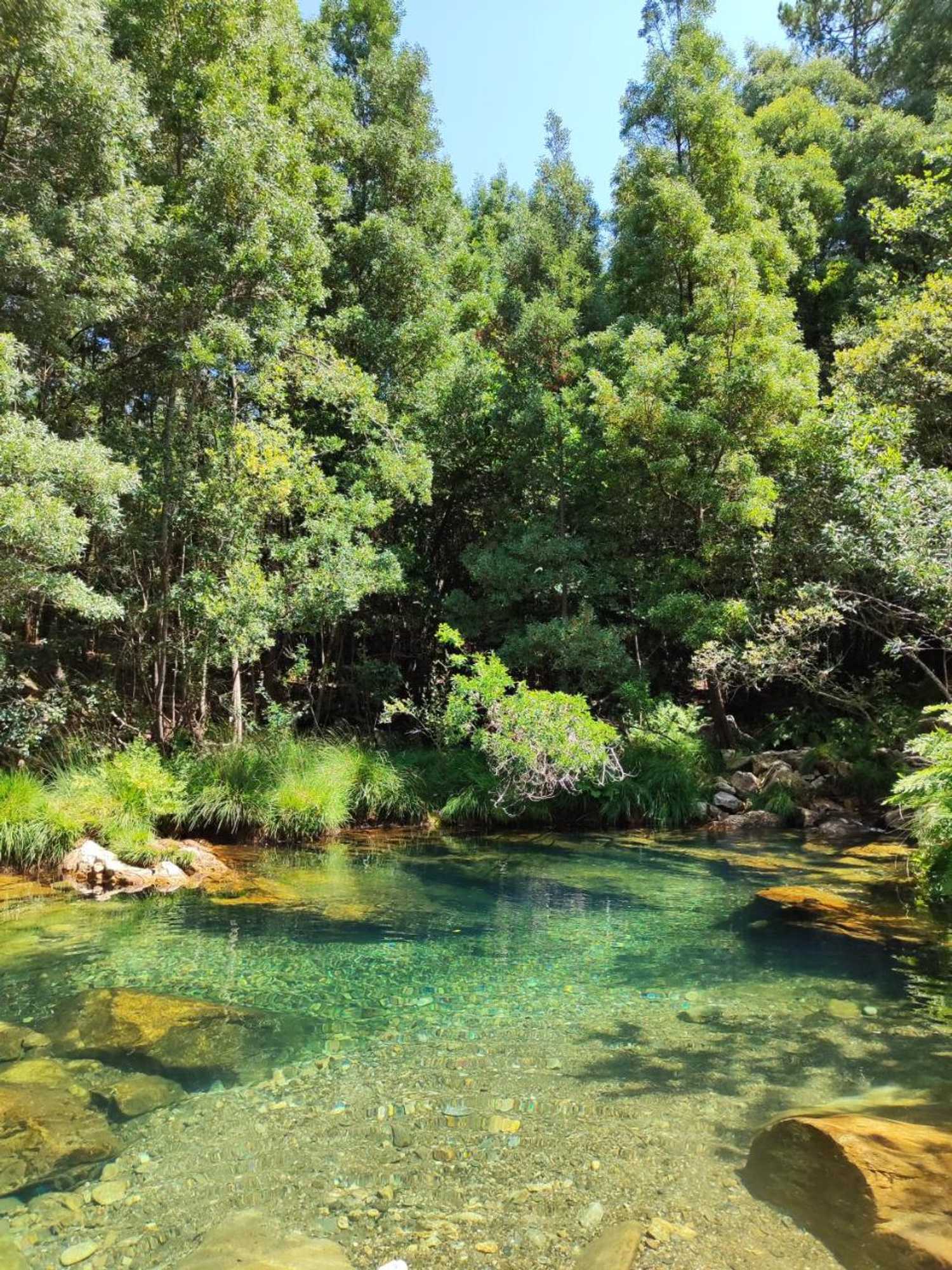 Gift card for Hotel Apartamento Marouco