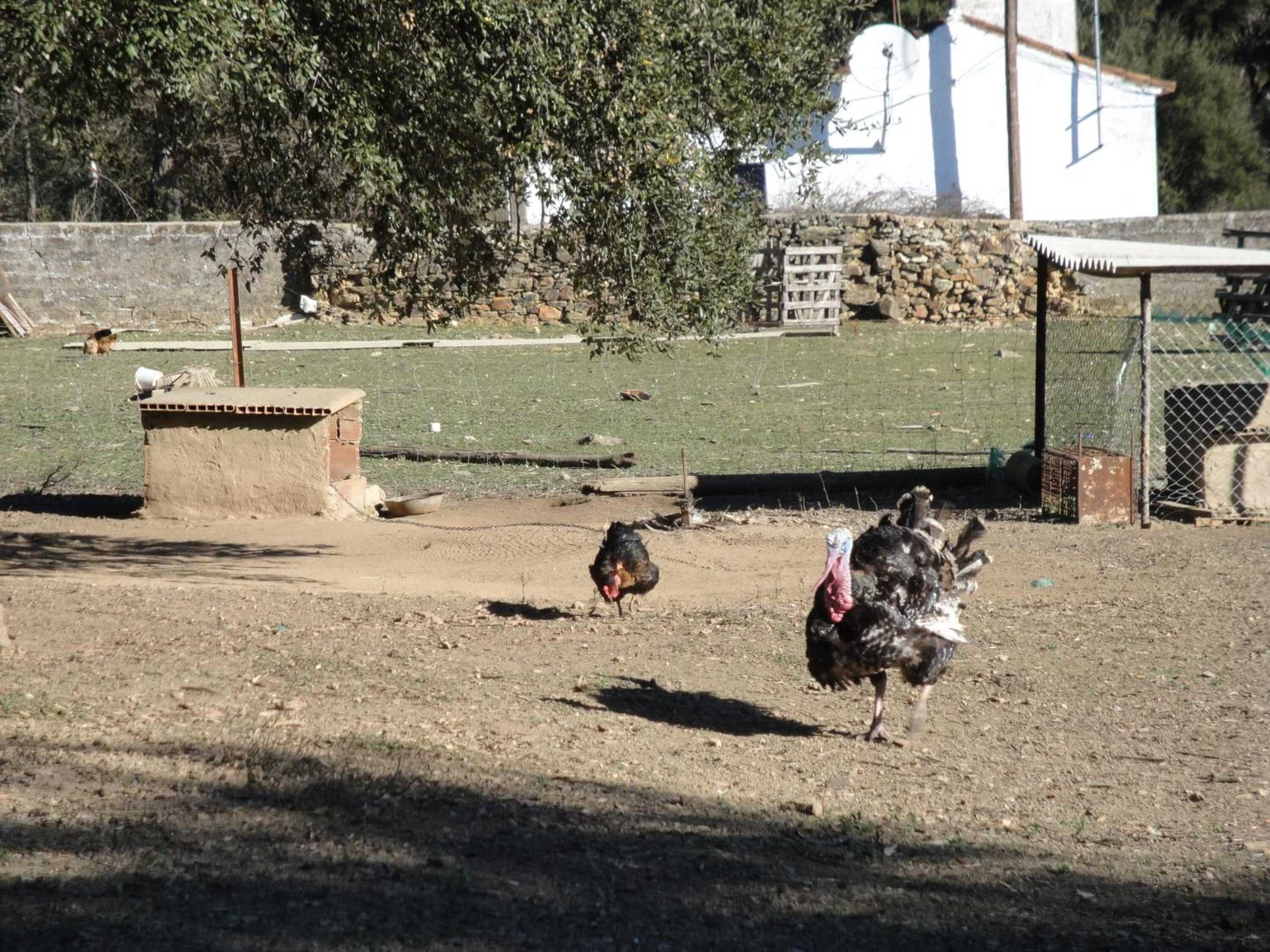 Gift card for Casa Rural Sierra San Mamede Gift card for Casa Rural Sierra San Mamede