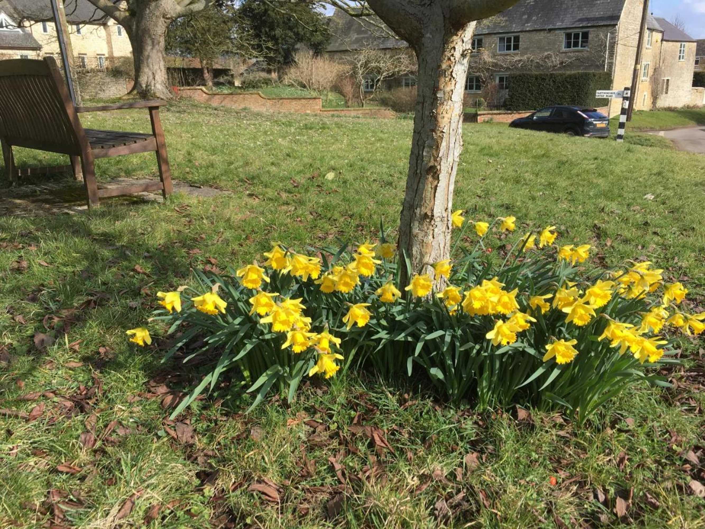 Gift card for Brook Farm Cottage