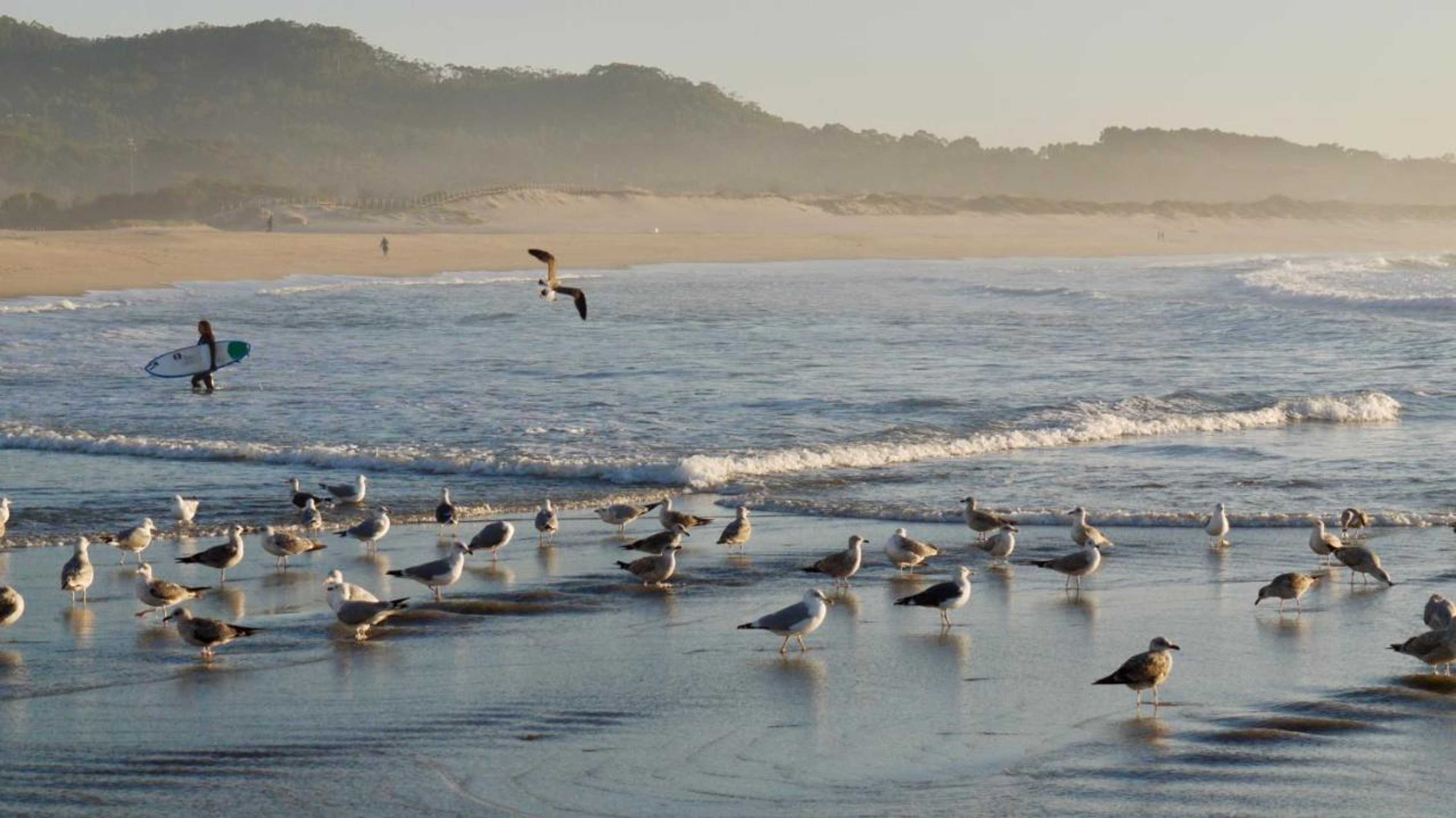 Gift card for Quinta Das Leiras - Rubiães