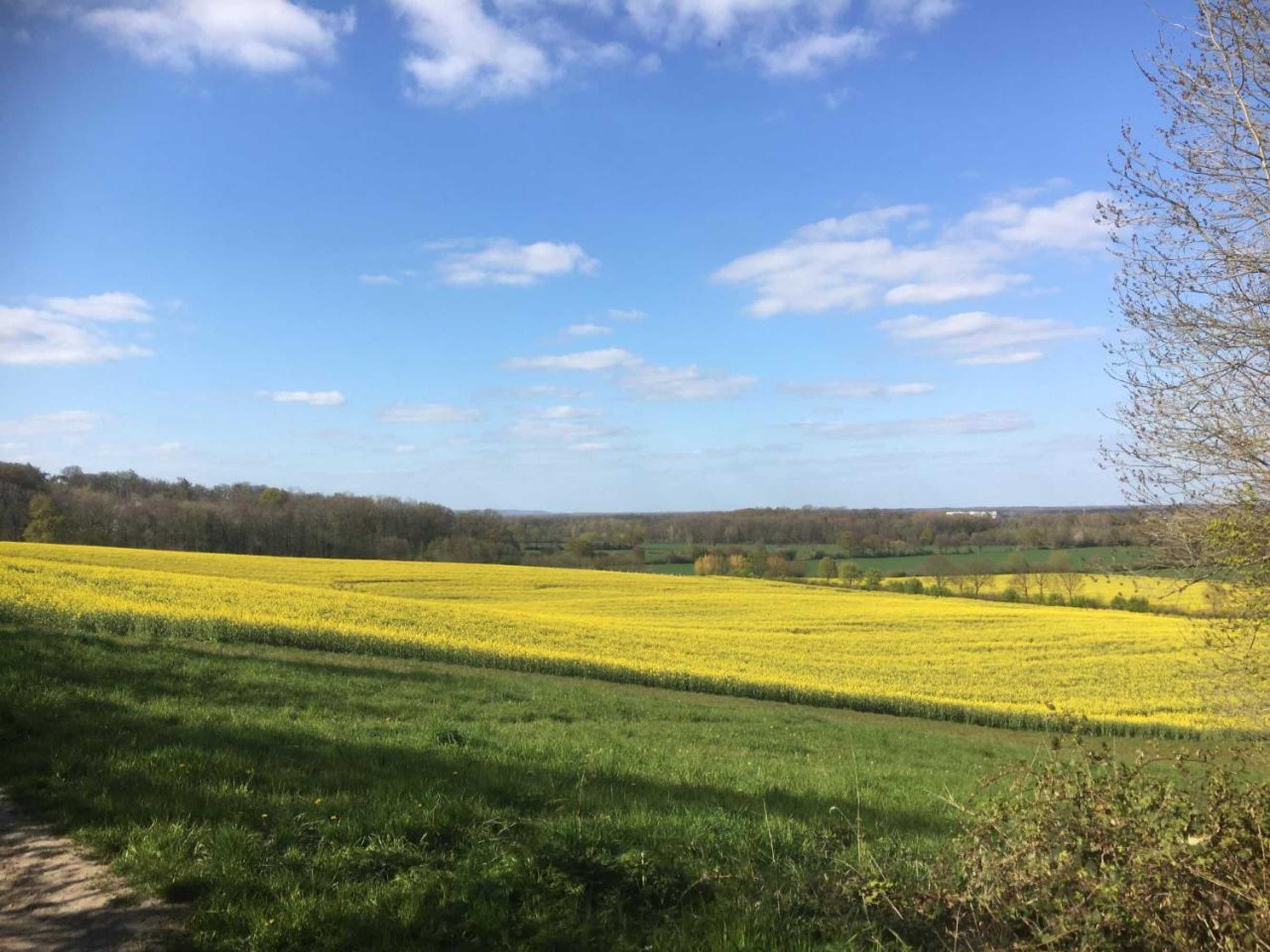 Gift card for Hof Spöde