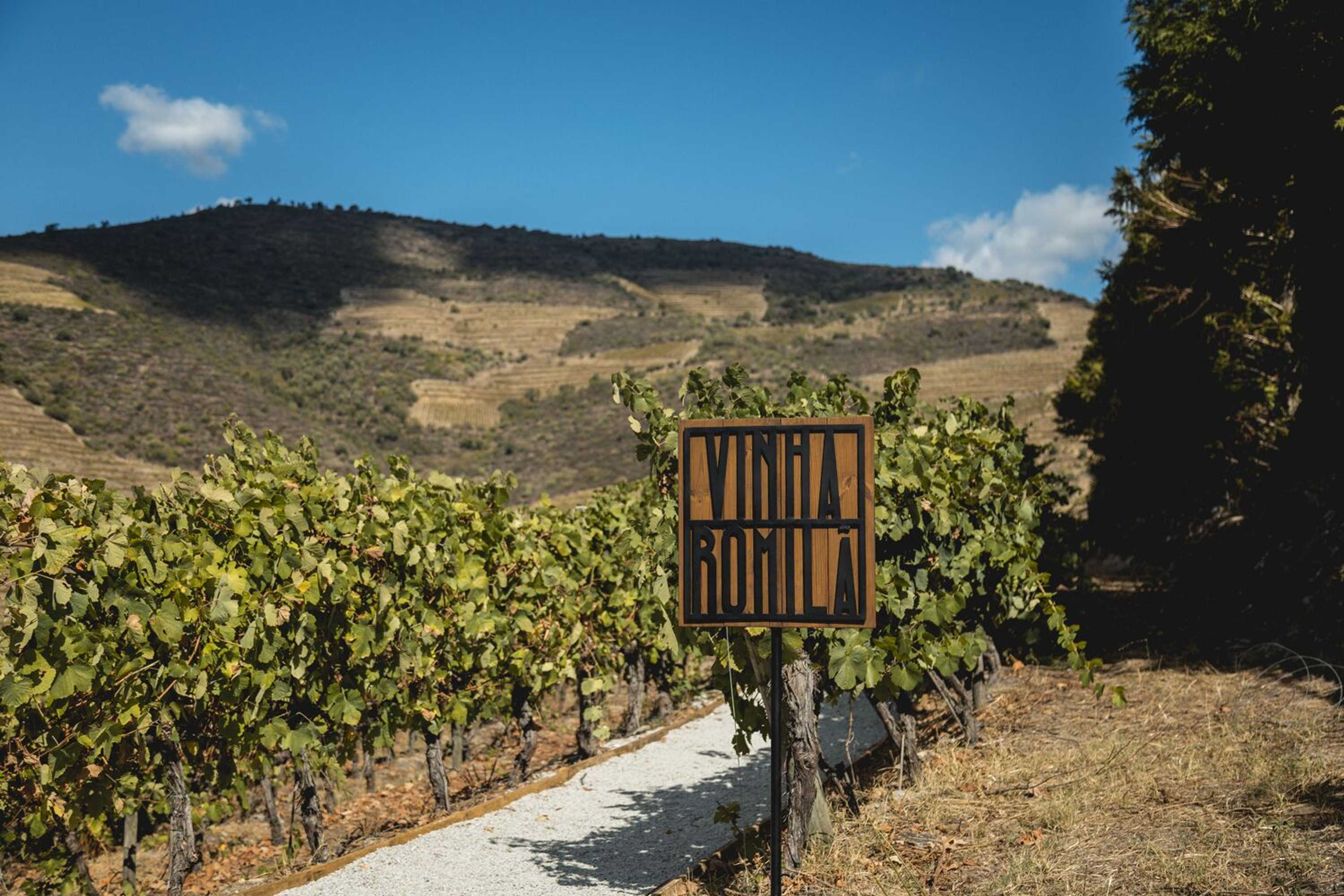 Gift card for Quinta de São Luiz The Vine House Gift card for Quinta de São Luiz The Vine House