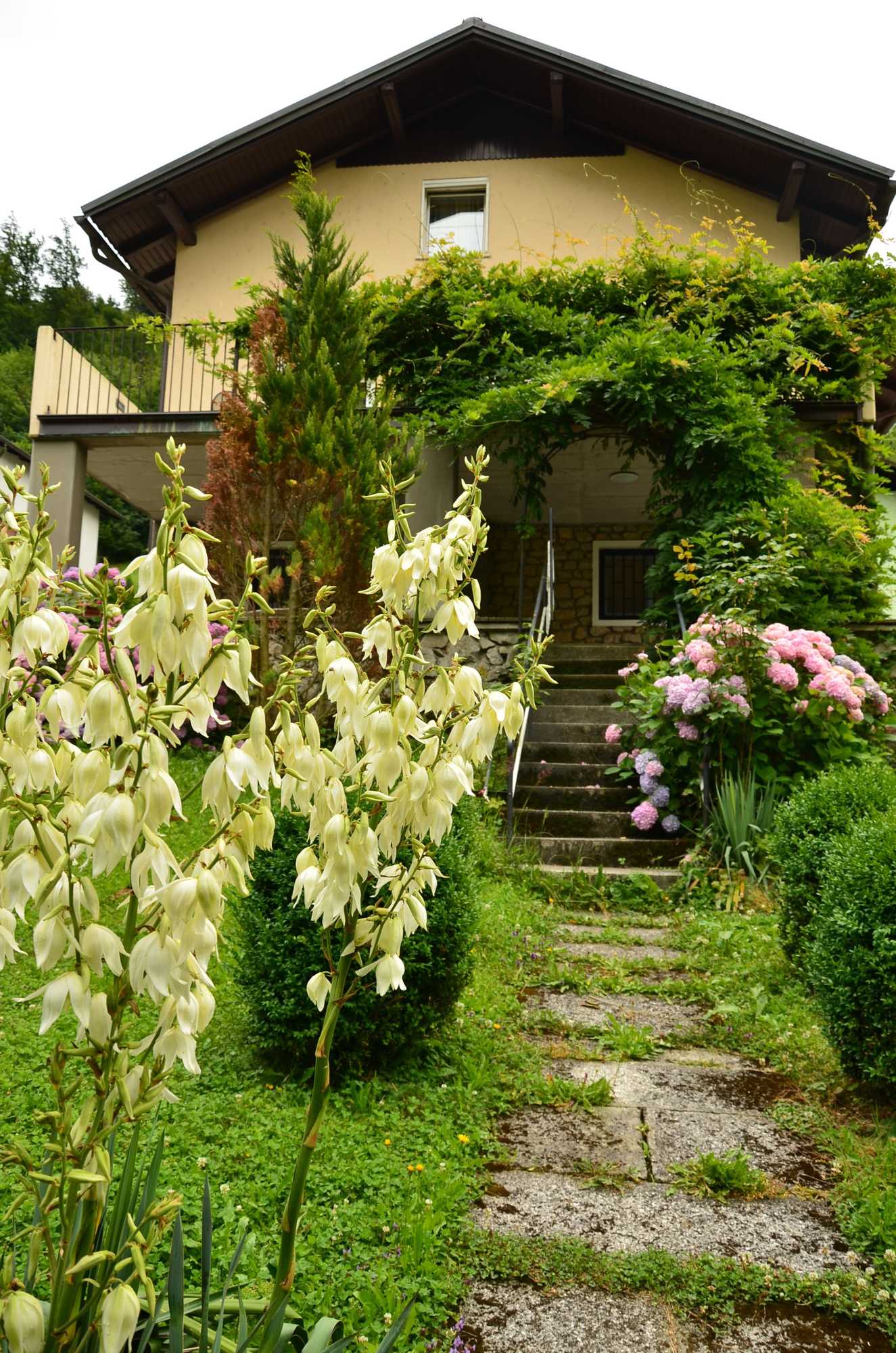 Gift card for Villa Home & Garden Lasko