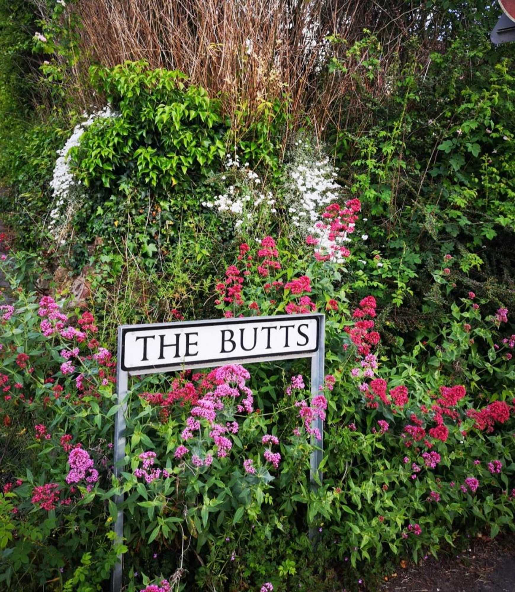 Gift card for Santi Bhavana Bed & Breakfast