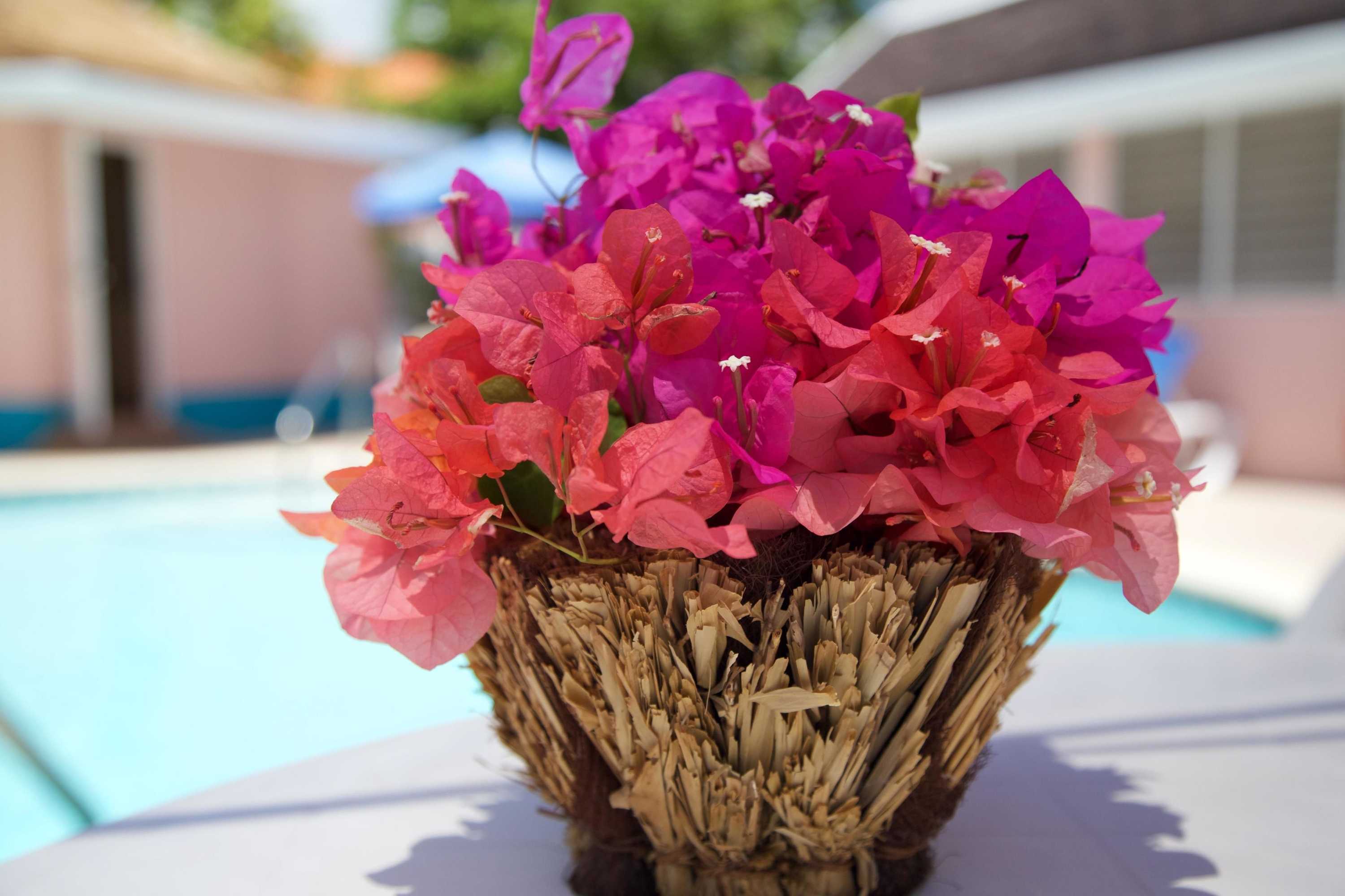 Gift card for Windjammer, 4br by Jamaican Treasures Gift card for Windjammer, 4br by Jamaican Treasures