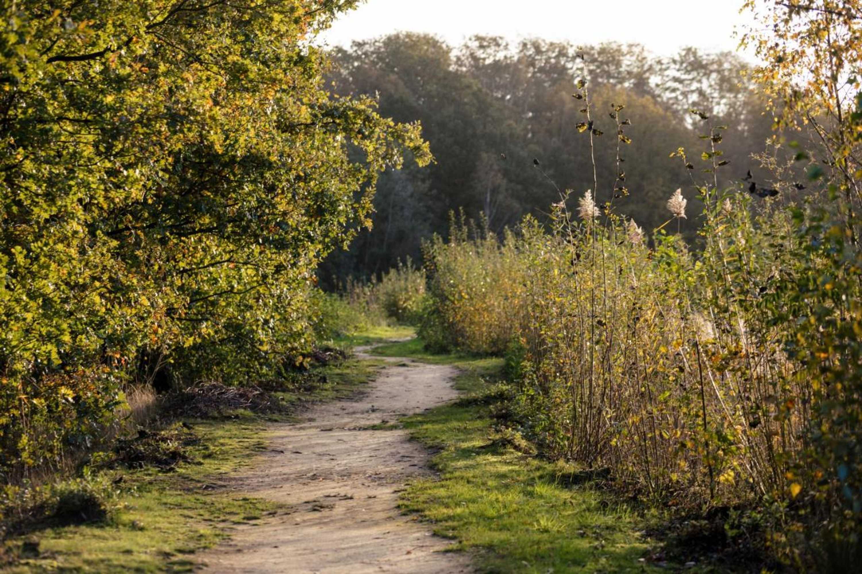 Gift card for B&b Ginnekenshoeve