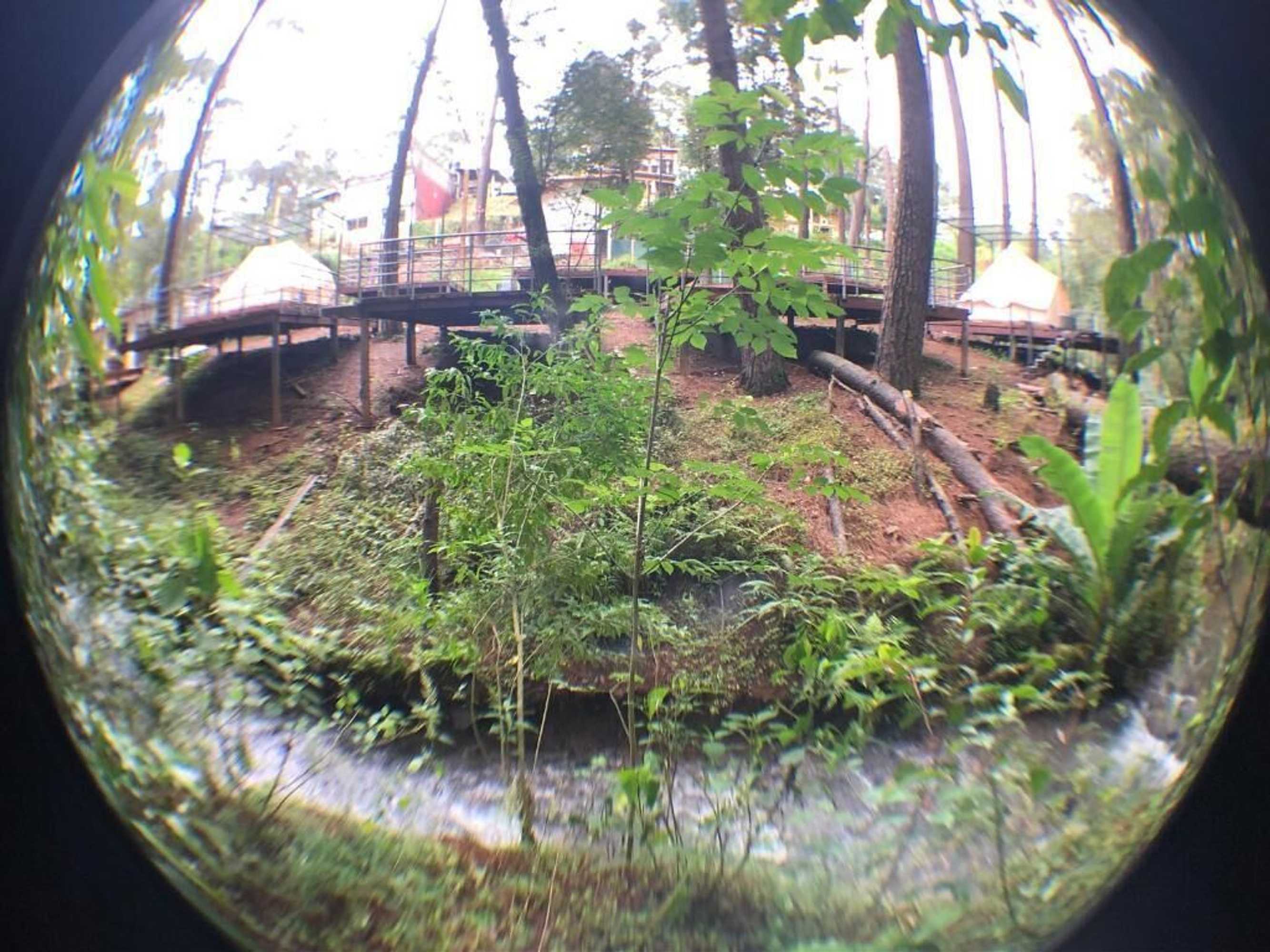 Gift card for Glamping Rio Valle de Bravo