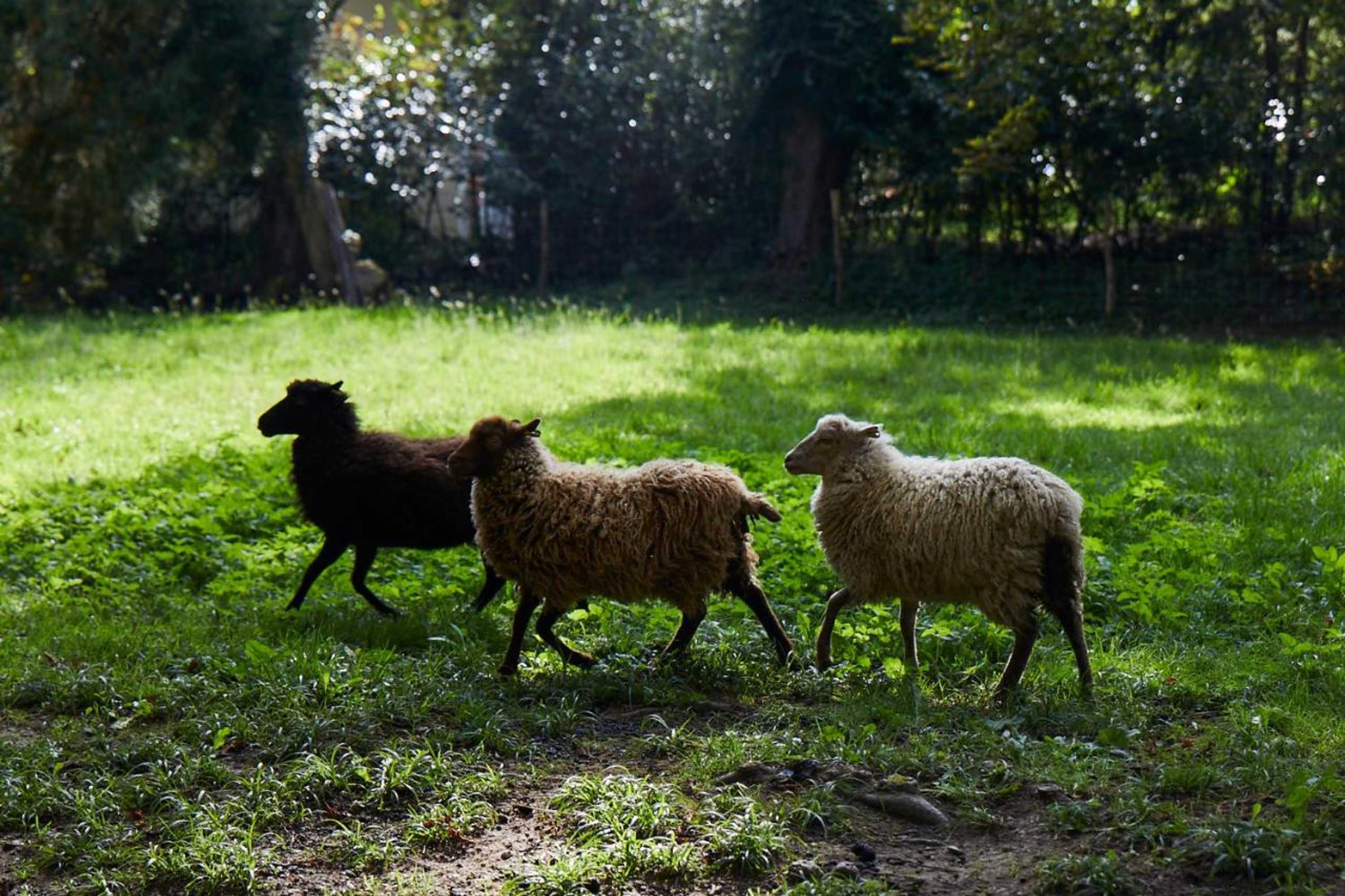 Gift card for Schloss Mörlbach