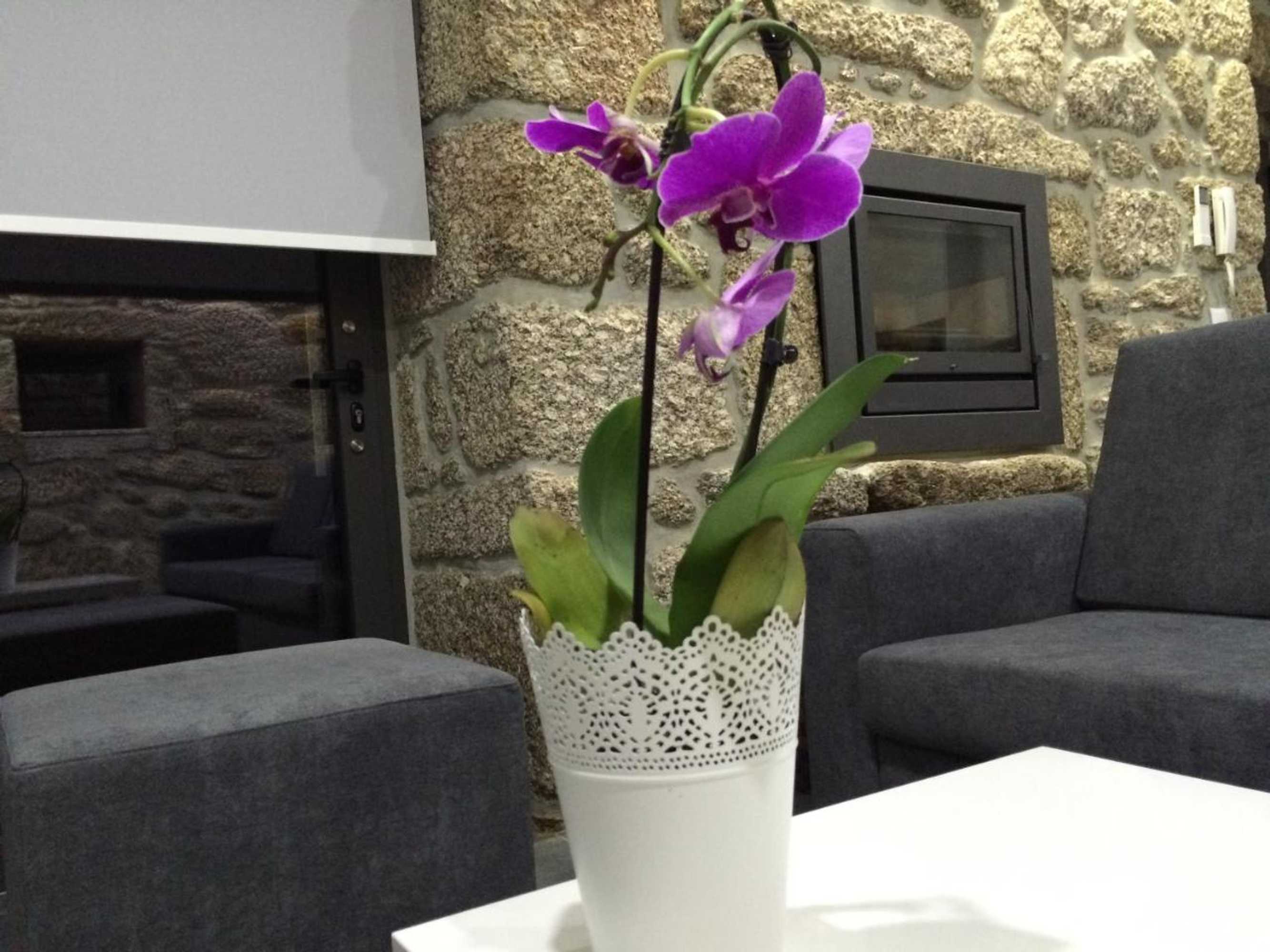 Gift card for Casa do Sobreira