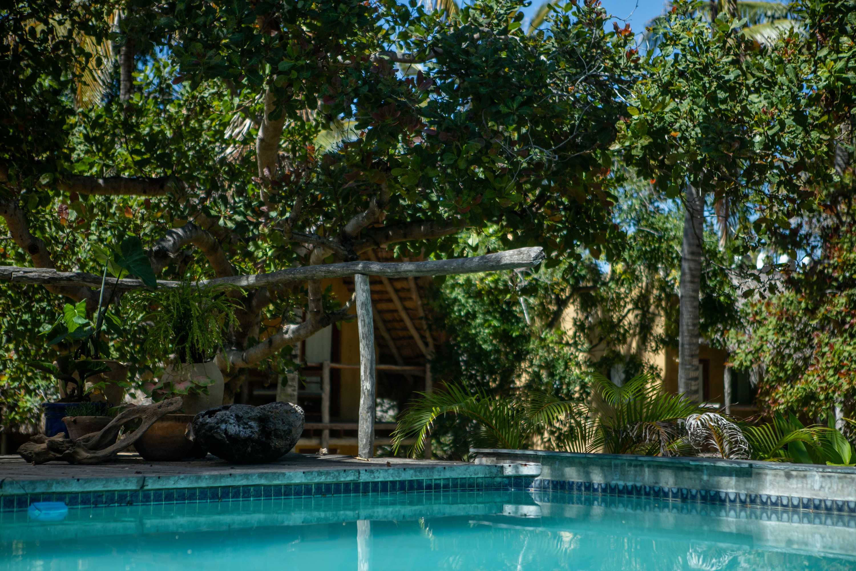 Gift card for Turtle Cove Lodge And Yoga Shala Gift card for Turtle Cove Lodge And Yoga Shala