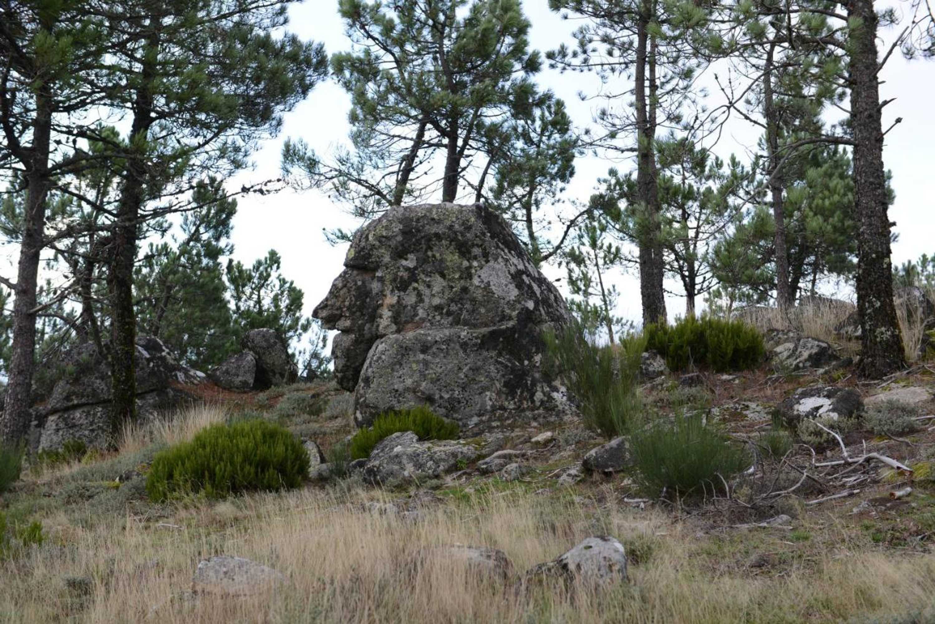 Gift card for Terra Mista Alojamento Local