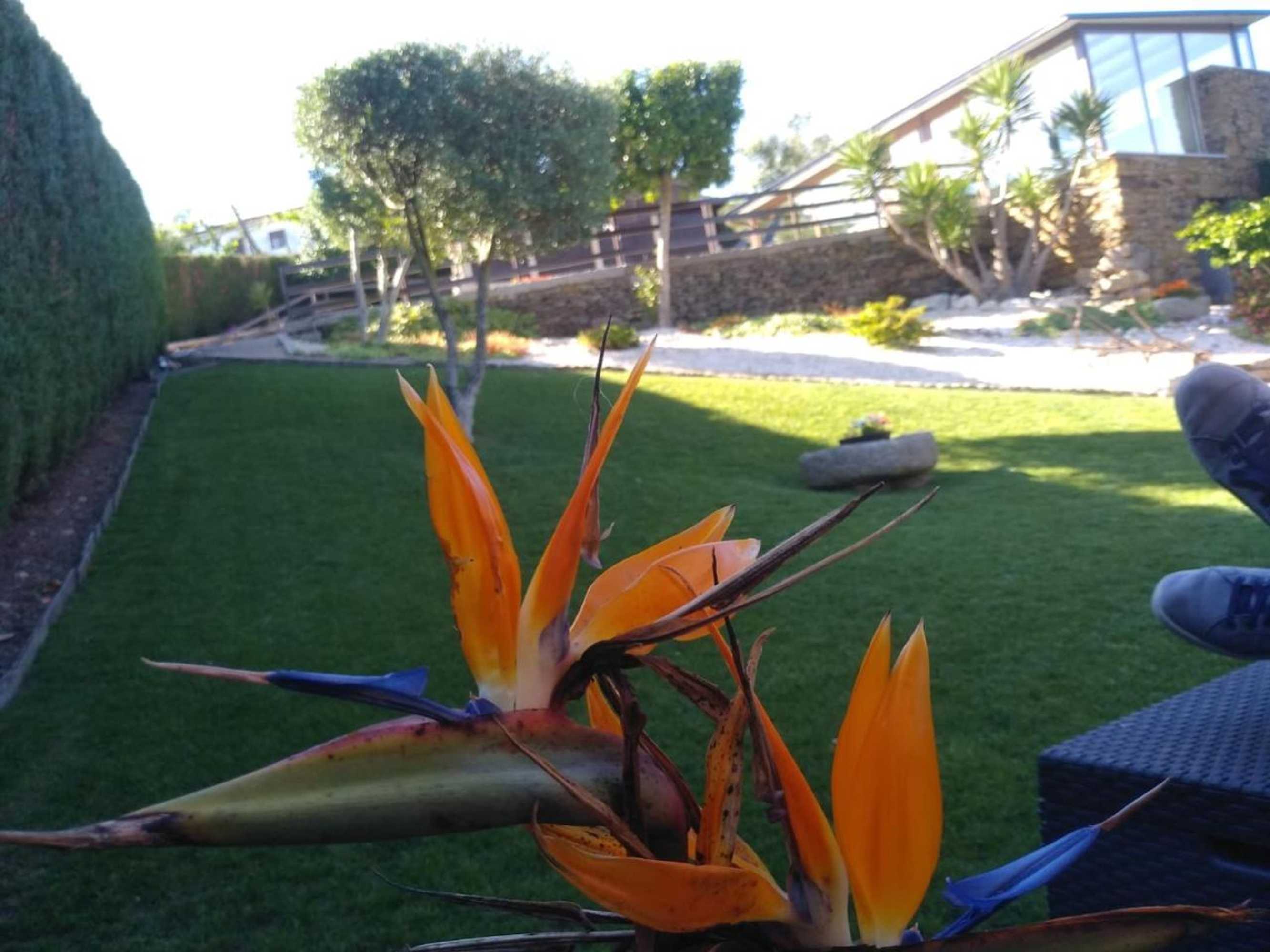 Gift card for Canastro Country House