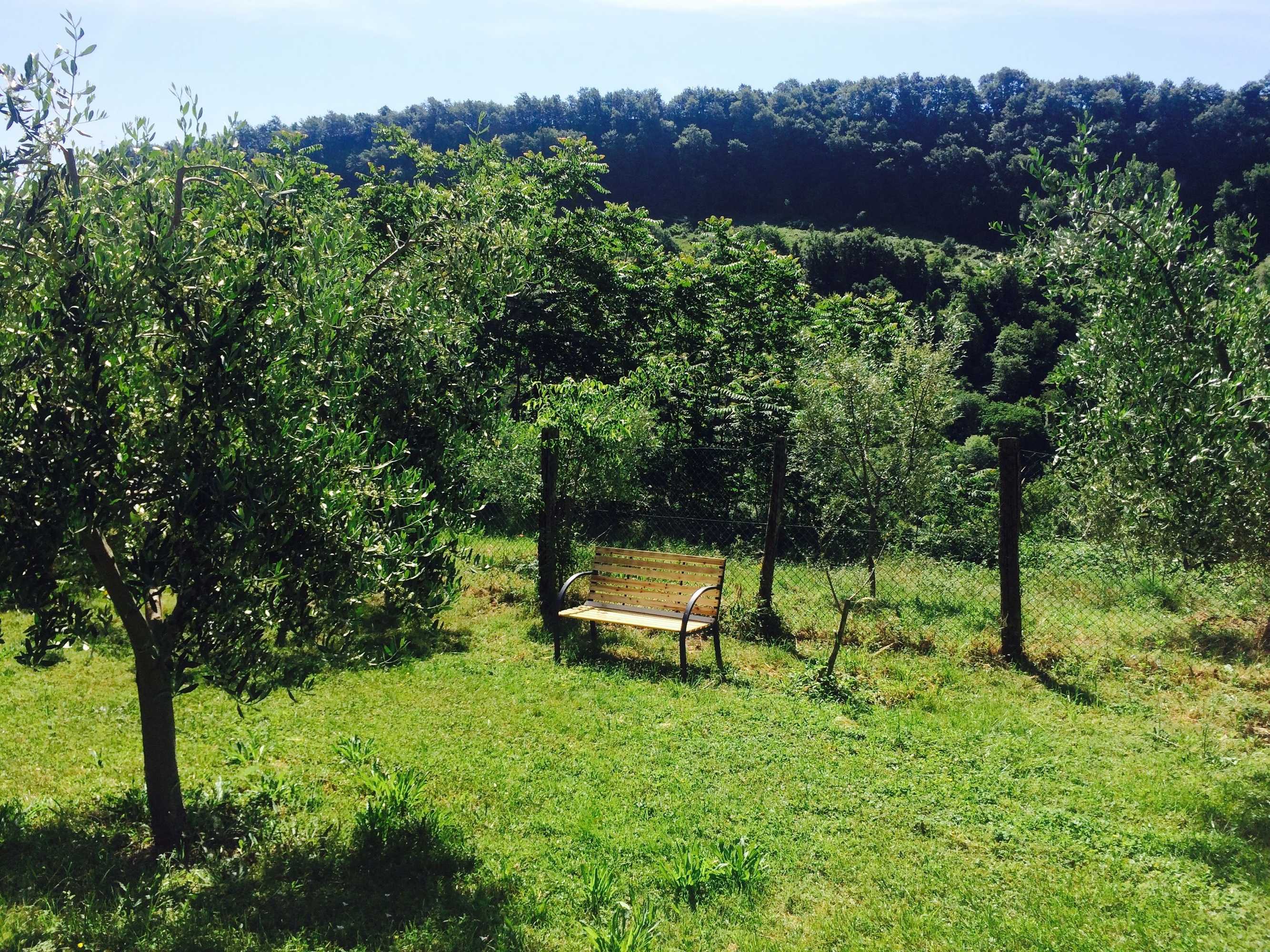 Gift card for Bio Agriturismo Valle Dei Calanchi Gift card for Bio Agriturismo Valle Dei Calanchi