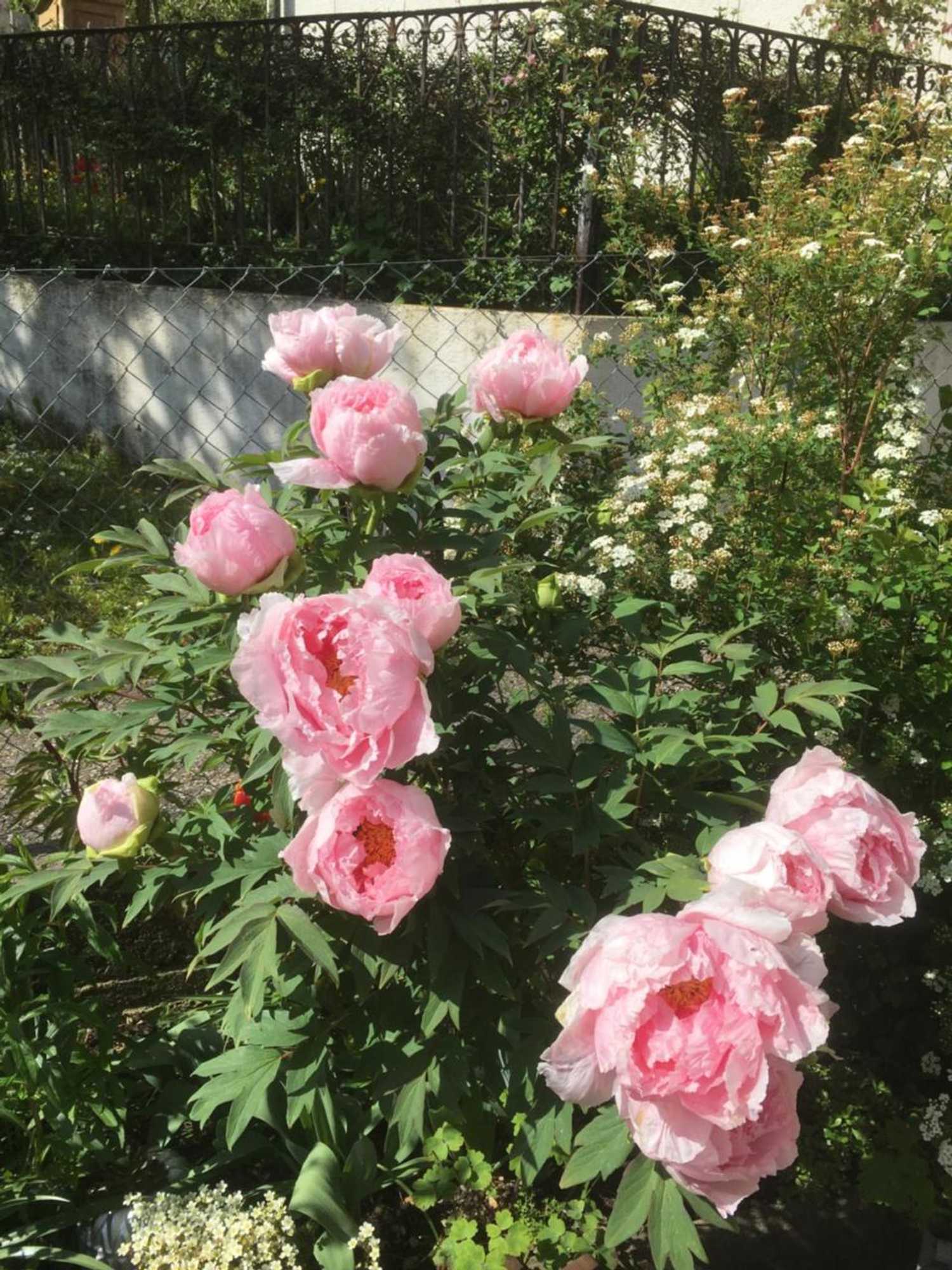 Gift card for Pension Chesselberg