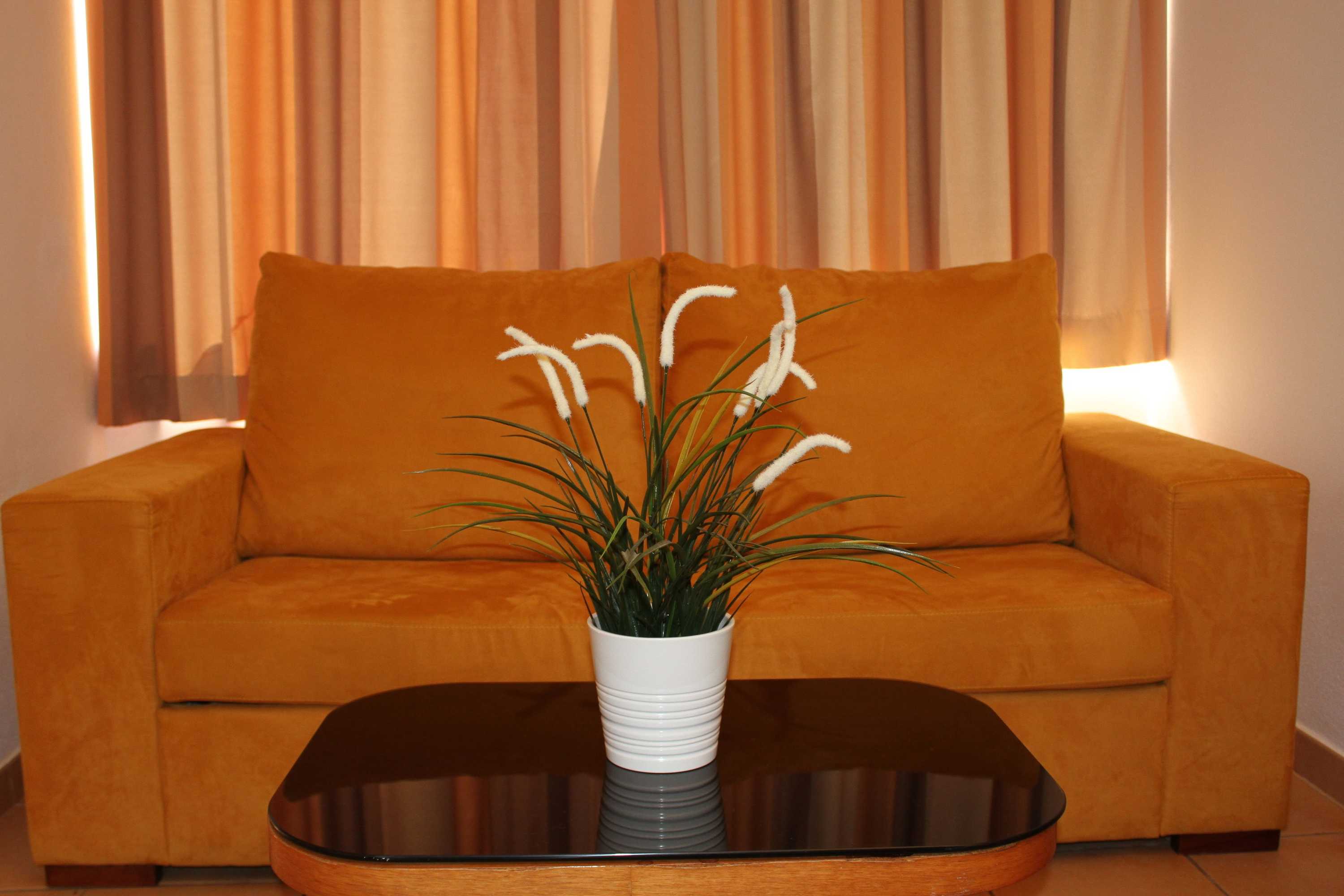 Gift card for Hotel Pinhal do Sol Gift card for Hotel Pinhal do Sol