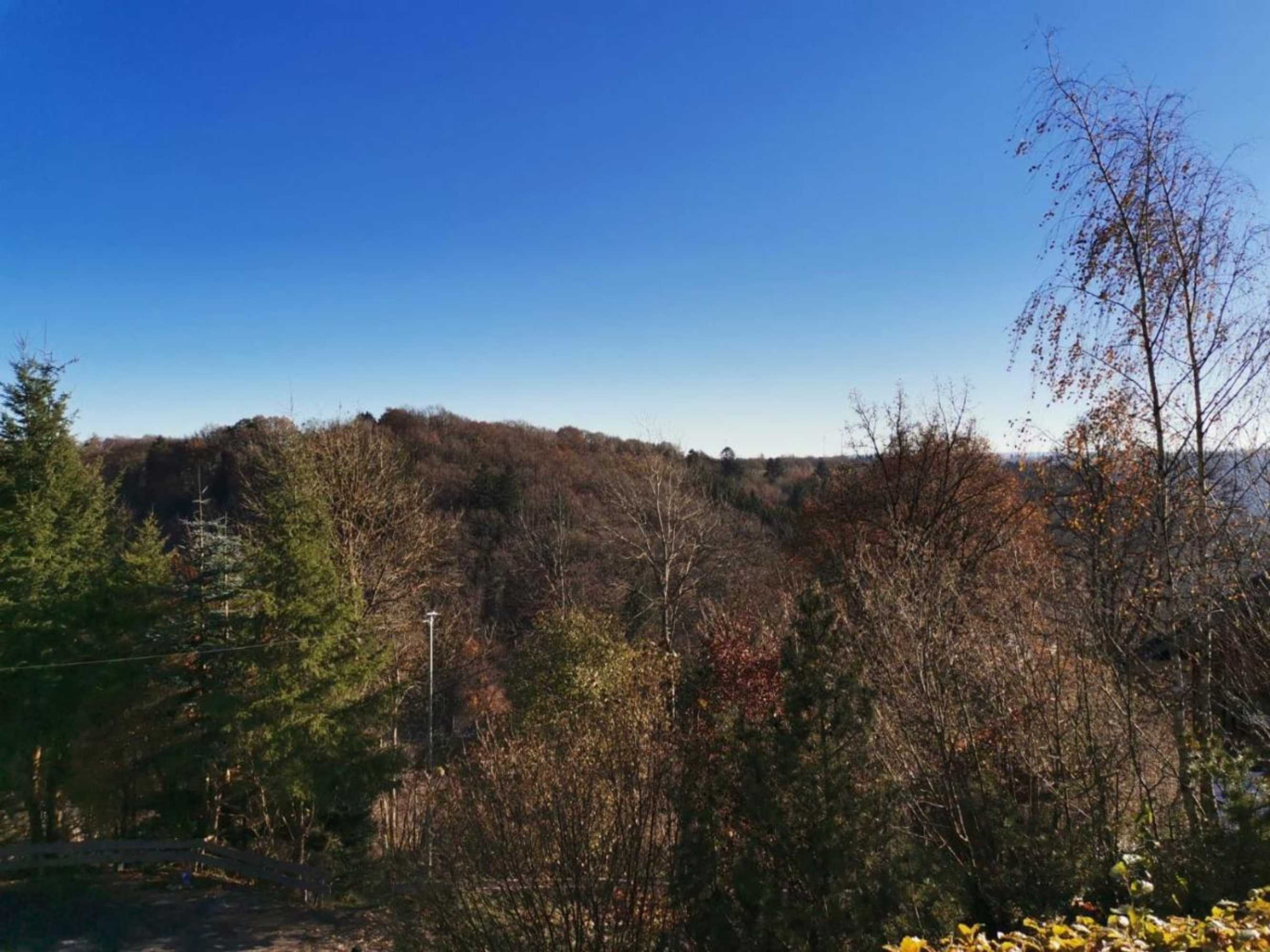 Gift card for Fewo in Monschau